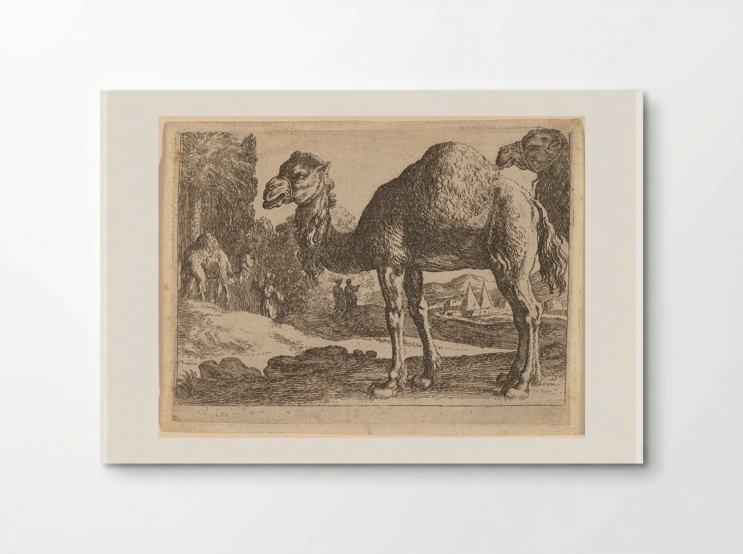 Camels - Herman van Swanevelt - Poster