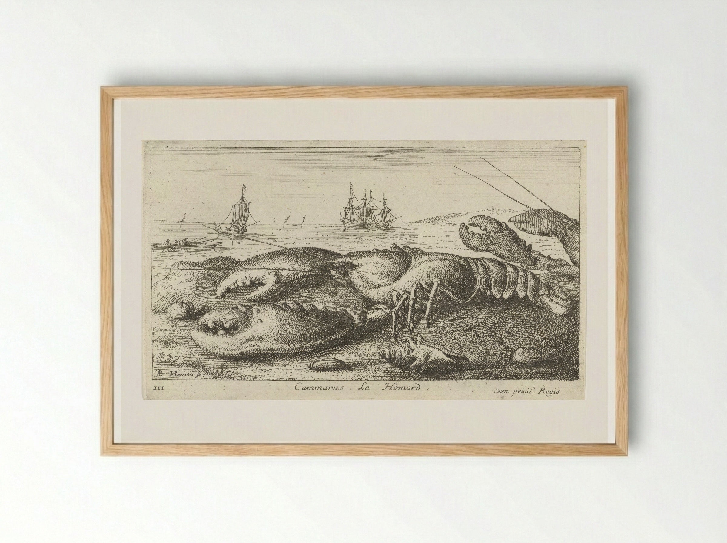 Cammarus. Le Homard - Albert Flamen - Framed Print Wood