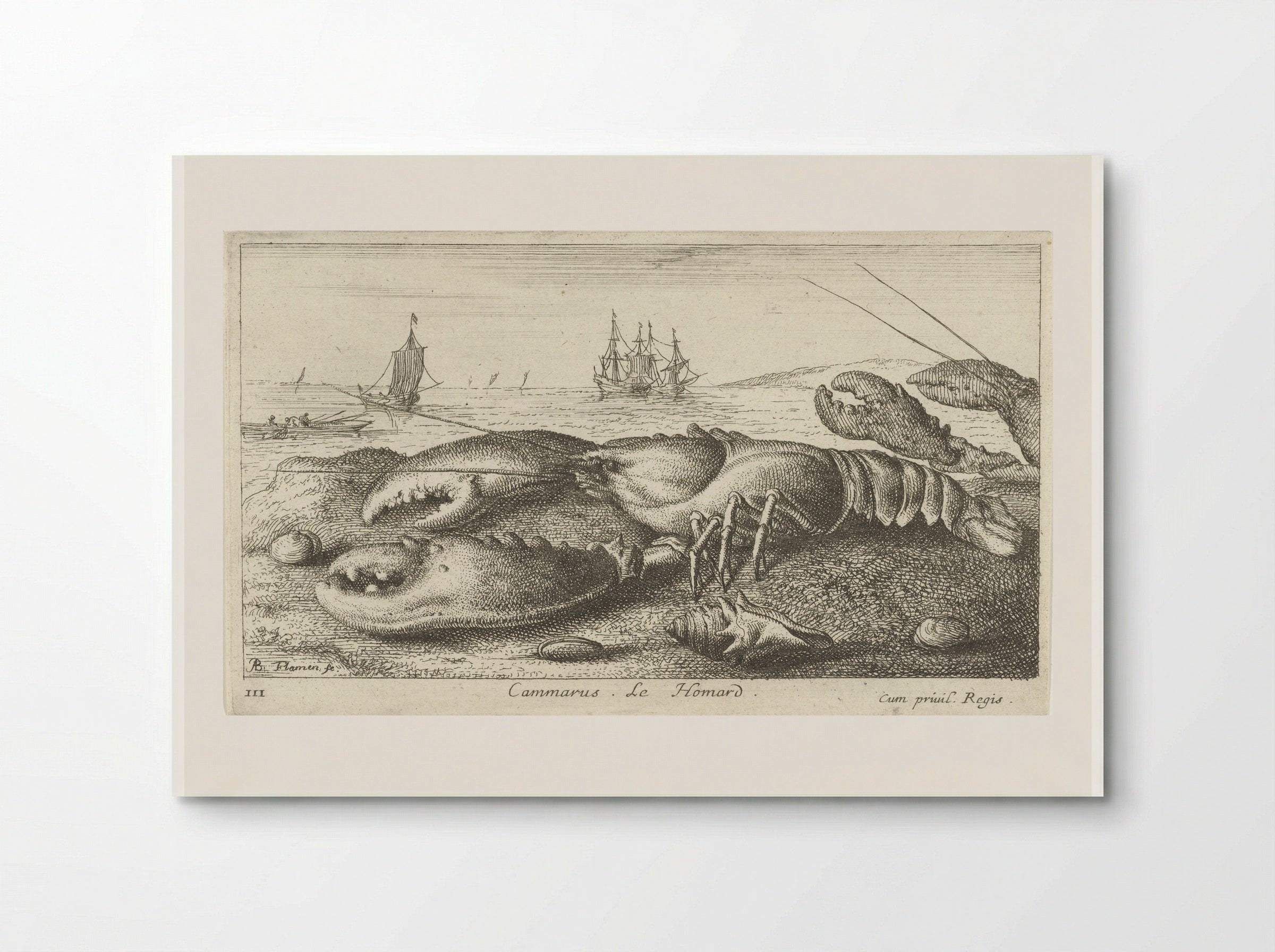 Cammarus. Le Homard - Albert Flamen - Poster