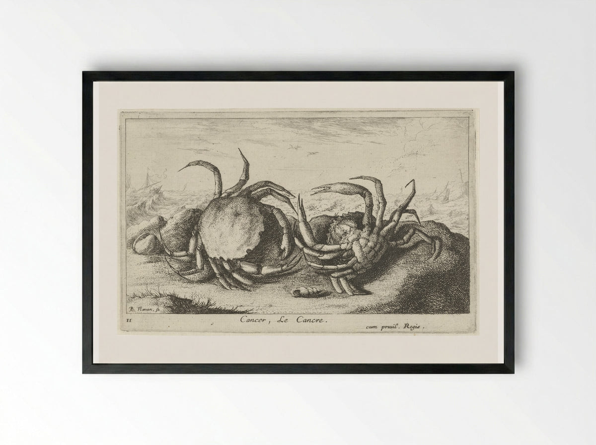 Cancer, Le Cancre - Albert Flamen - Framed Print Black