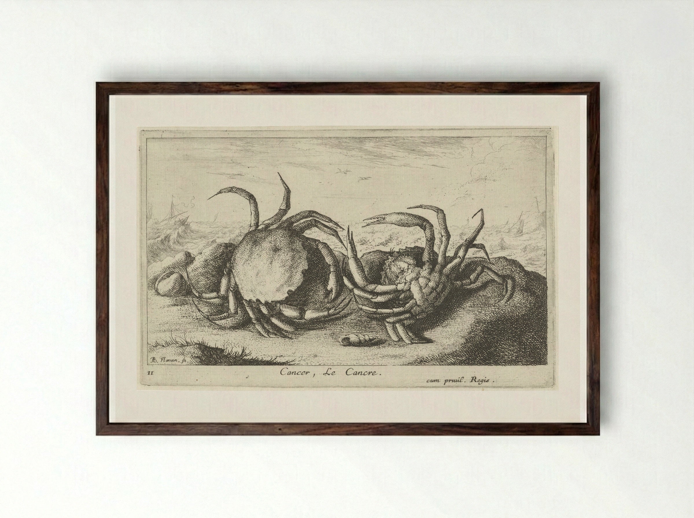 Cancer, Le Cancre - Albert Flamen - Framed Print Dark Wood