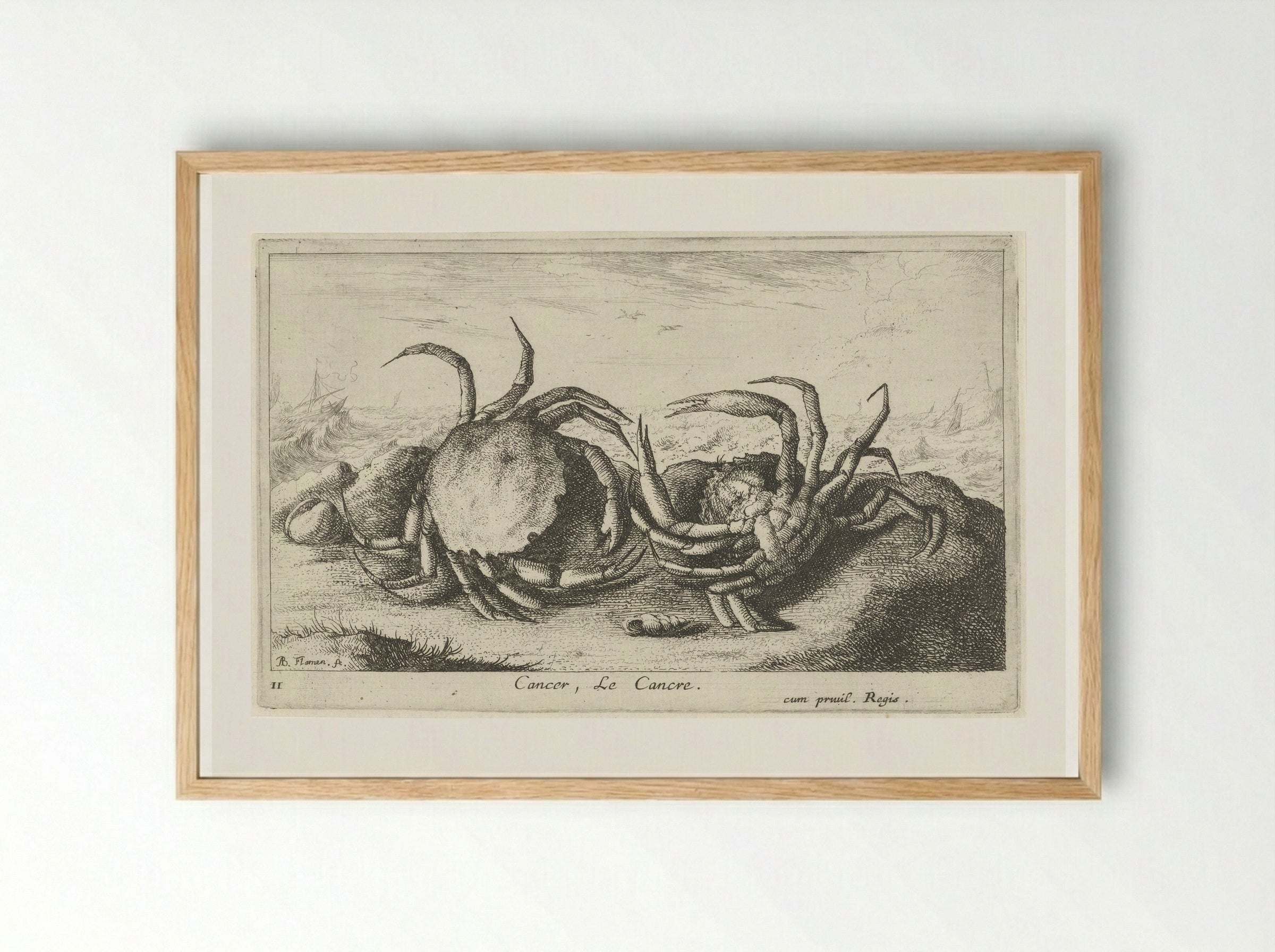 Cancer, Le Cancre - Albert Flamen - Framed Print Wood
