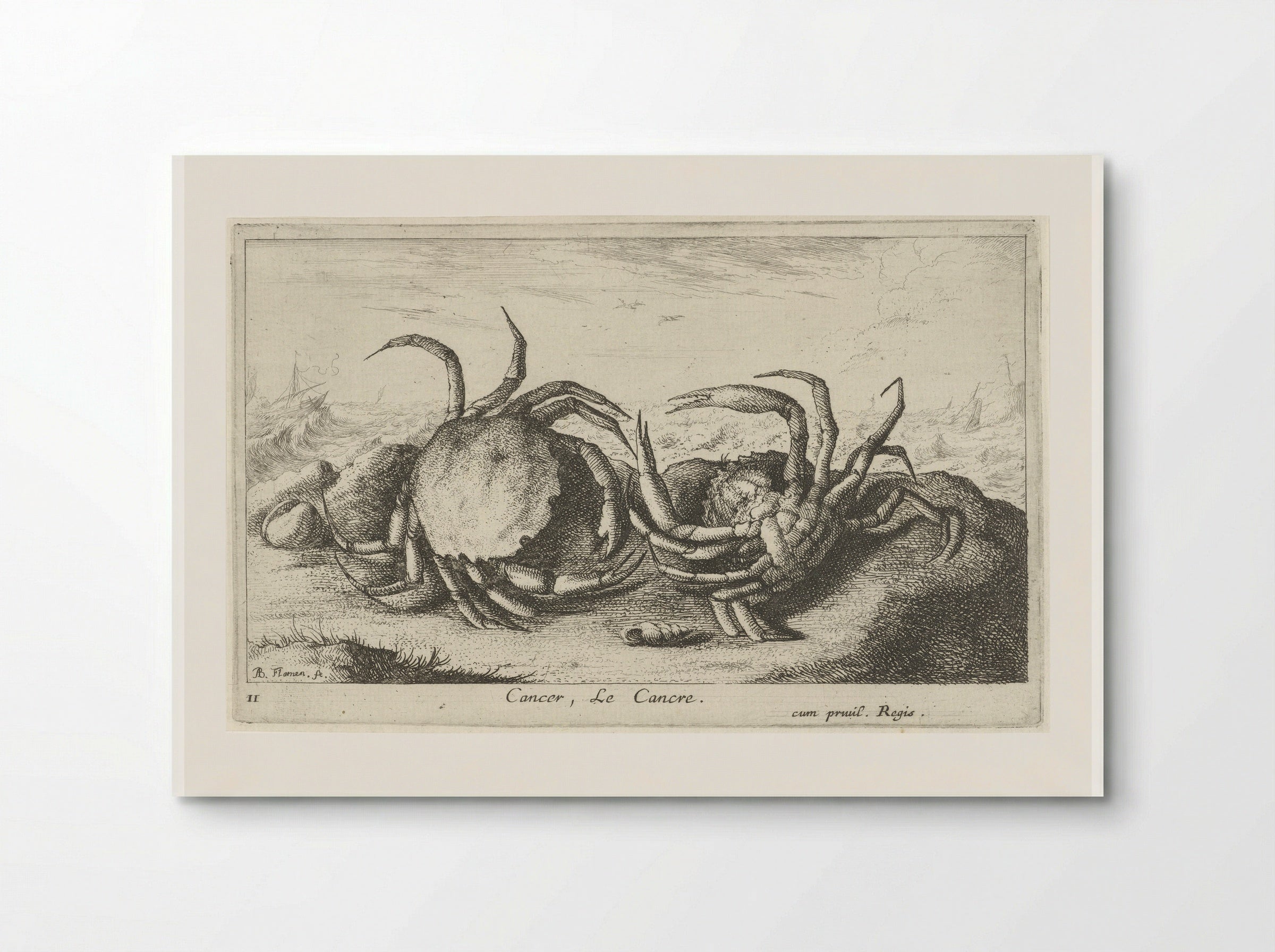 Cancer, Le Cancre - Albert Flamen - Poster