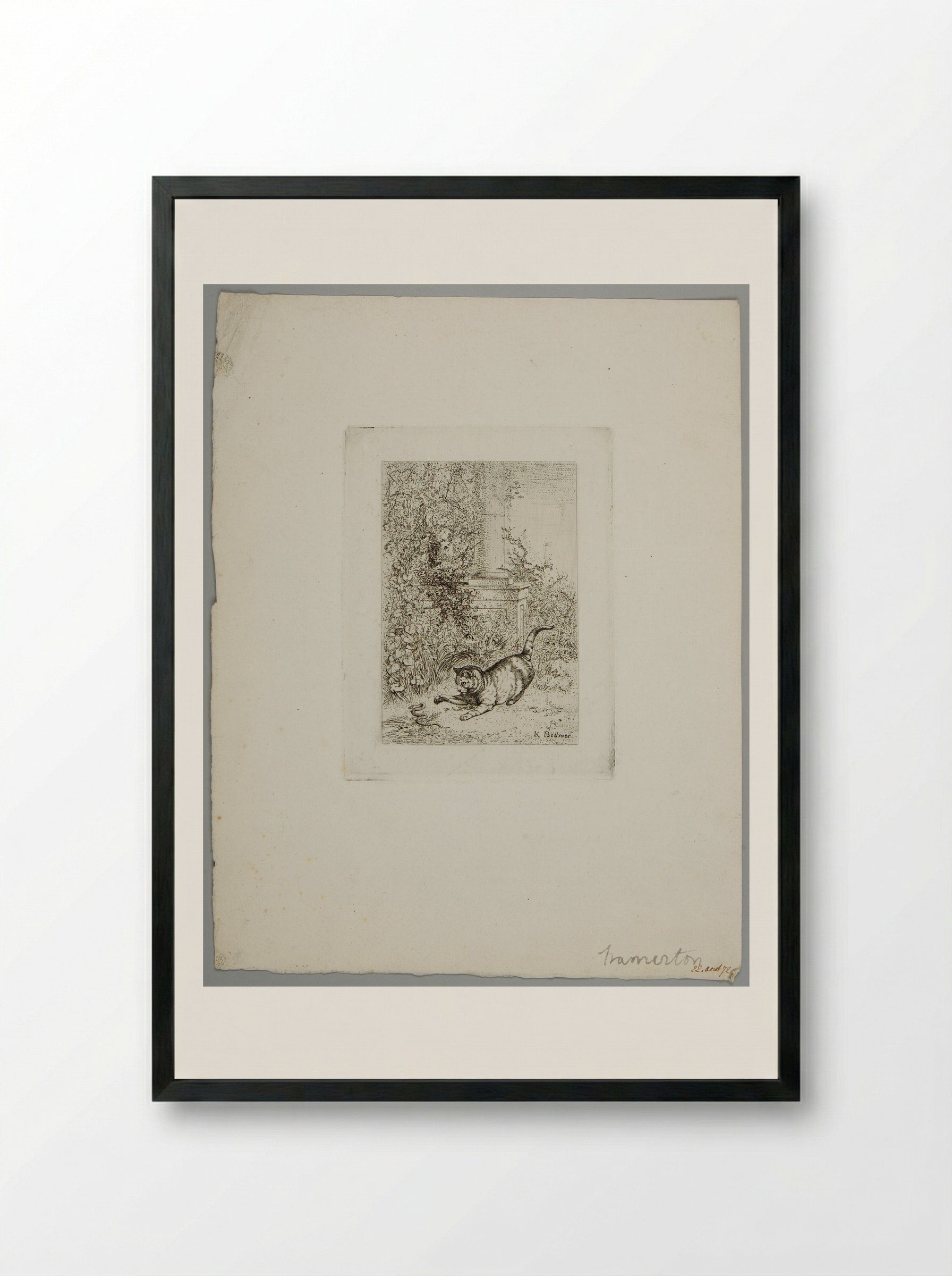 Cat Playing with a Grass Snake - Karl Bodmer - Framed Print Black