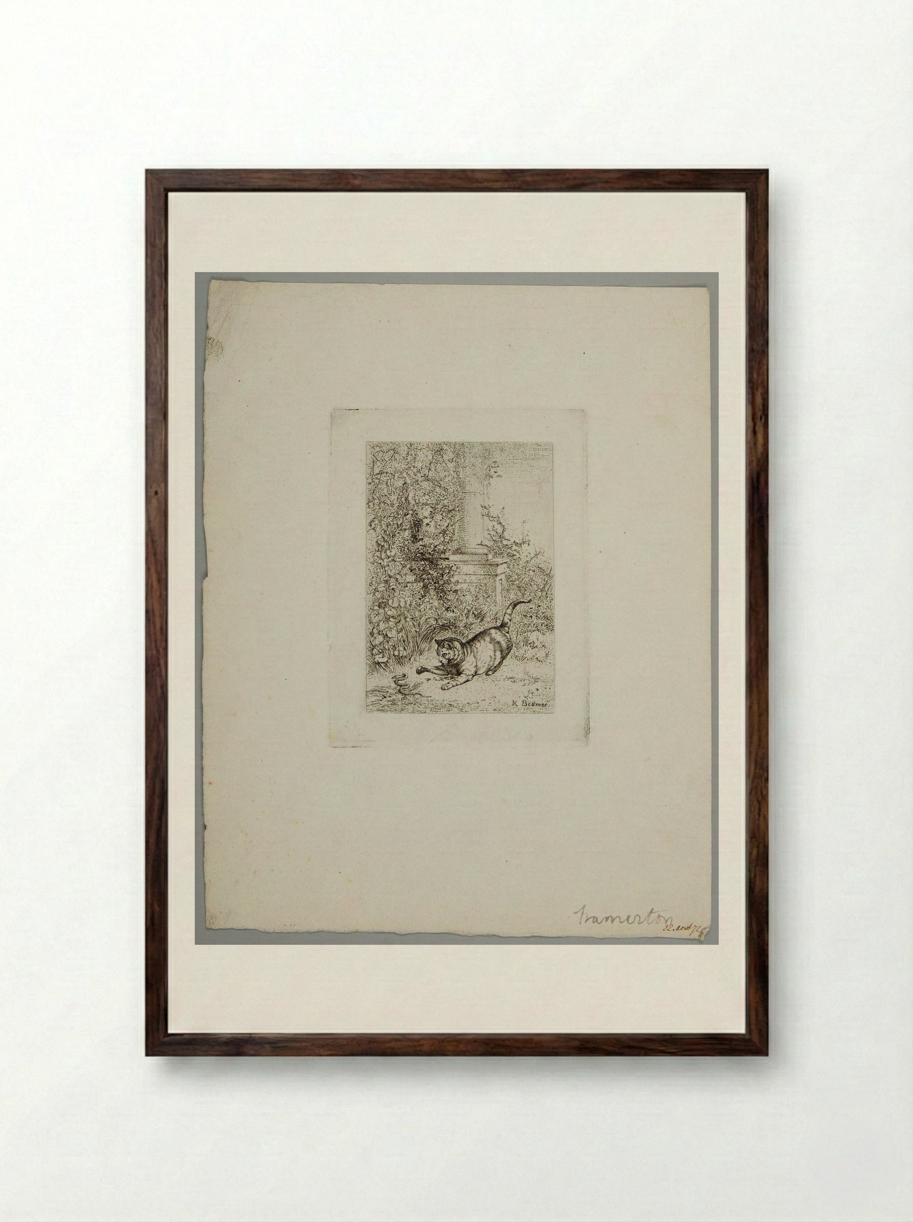 Cat Playing with a Grass Snake - Karl Bodmer - Framed Print Dark Wood