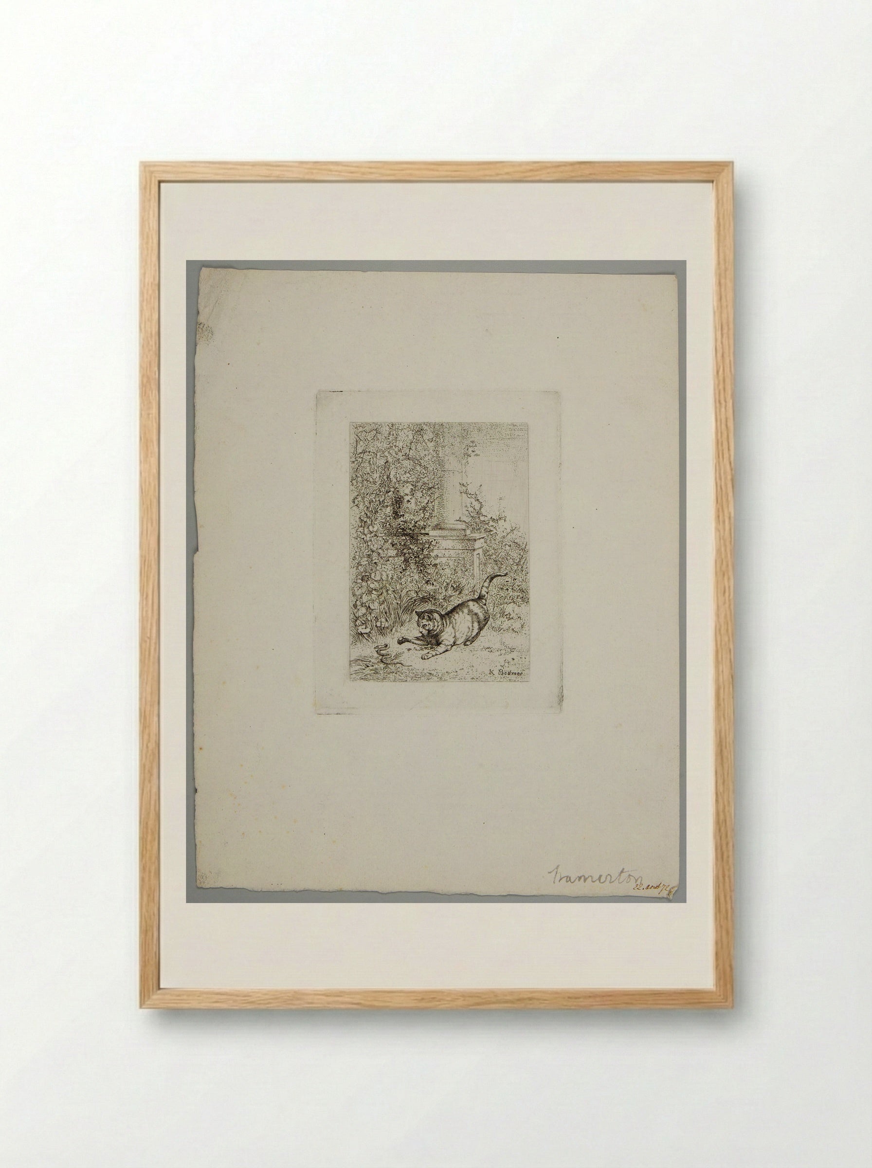 Cat Playing with a Grass Snake - Karl Bodmer - Framed Print Wood