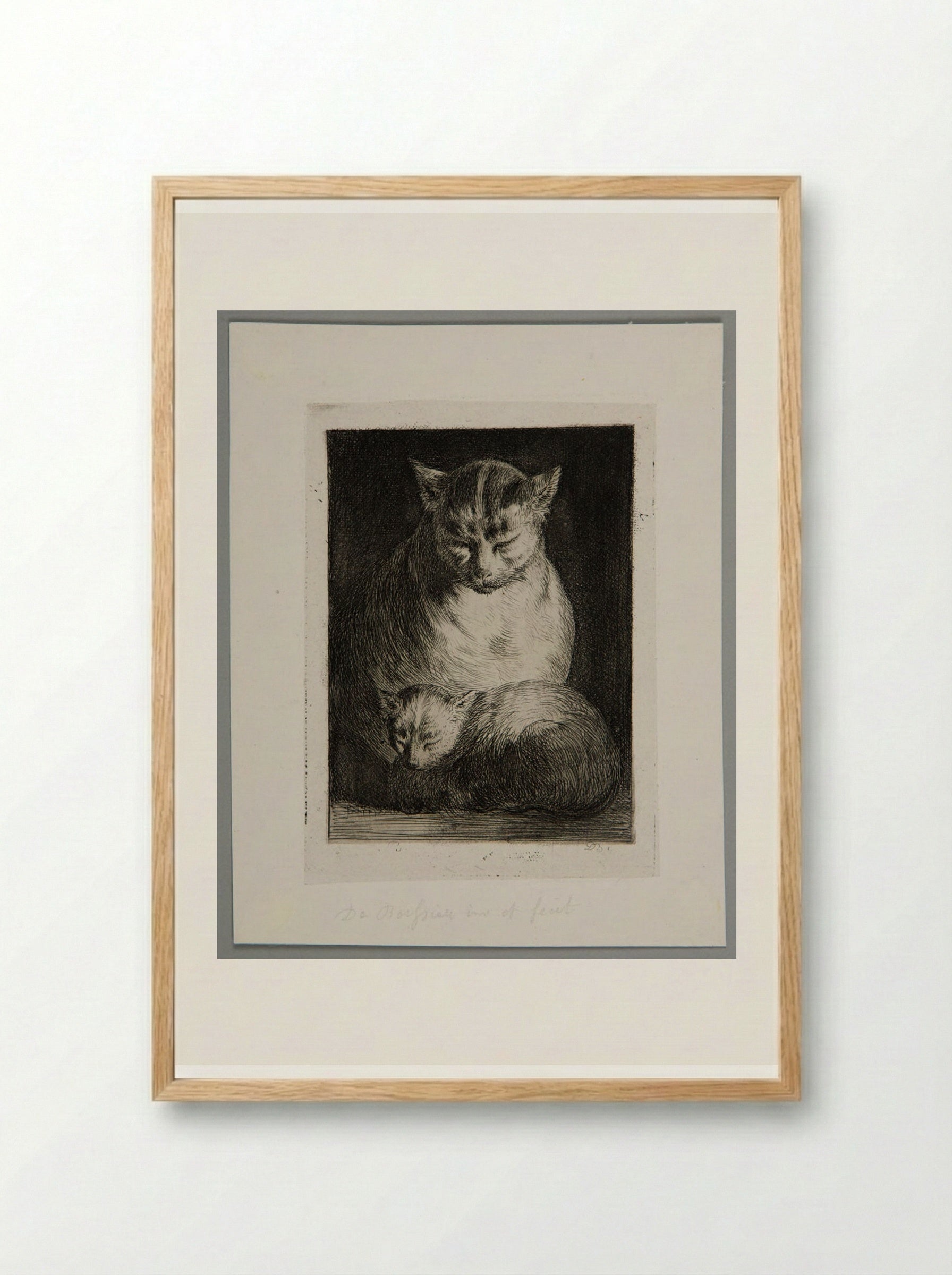 Cat Sitting with a Kitten - Jean-Jacques de Boissieu - Framed Print Wood