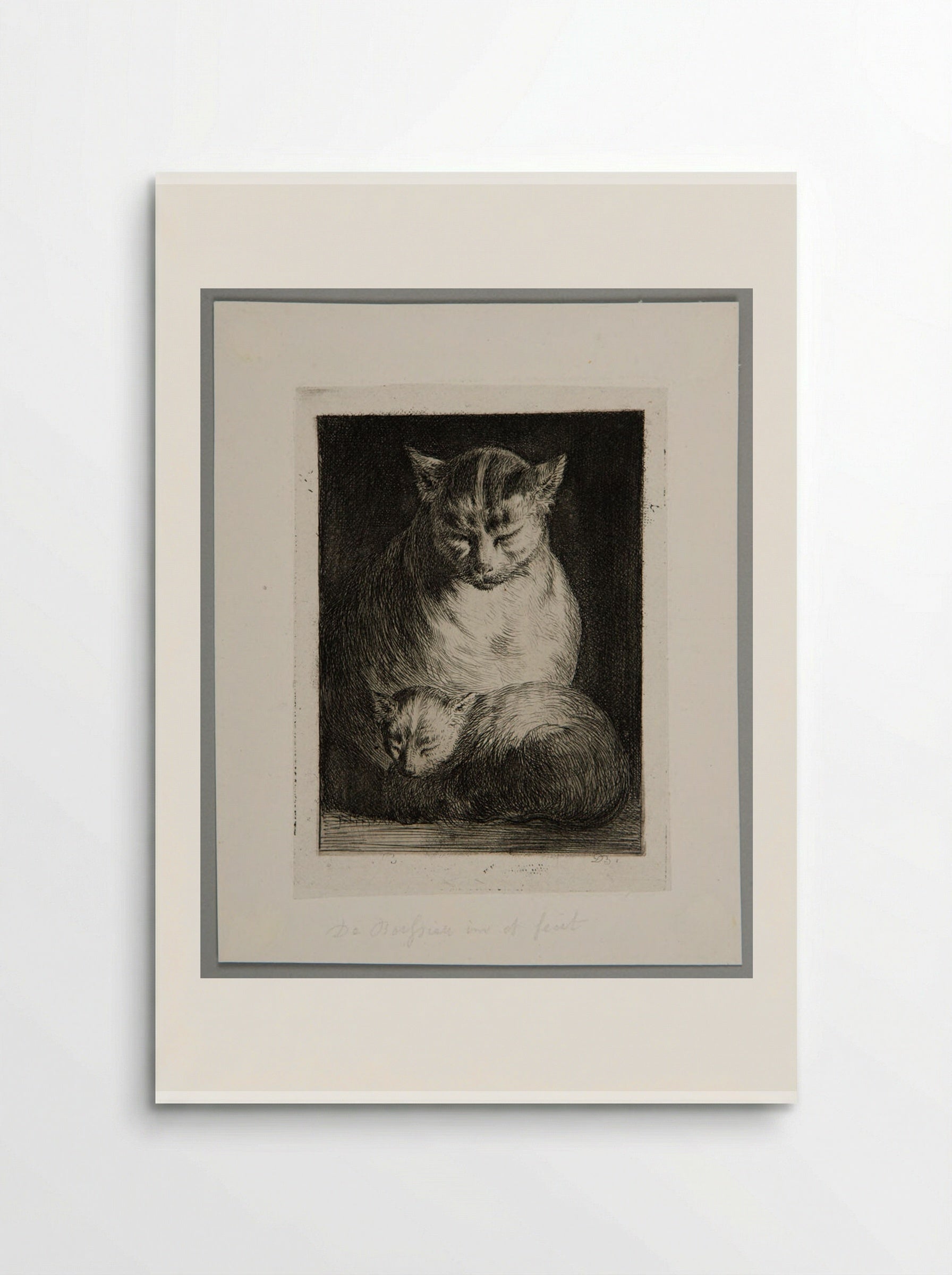 Cat Sitting with a Kitten - Jean-Jacques de Boissieu - Poster