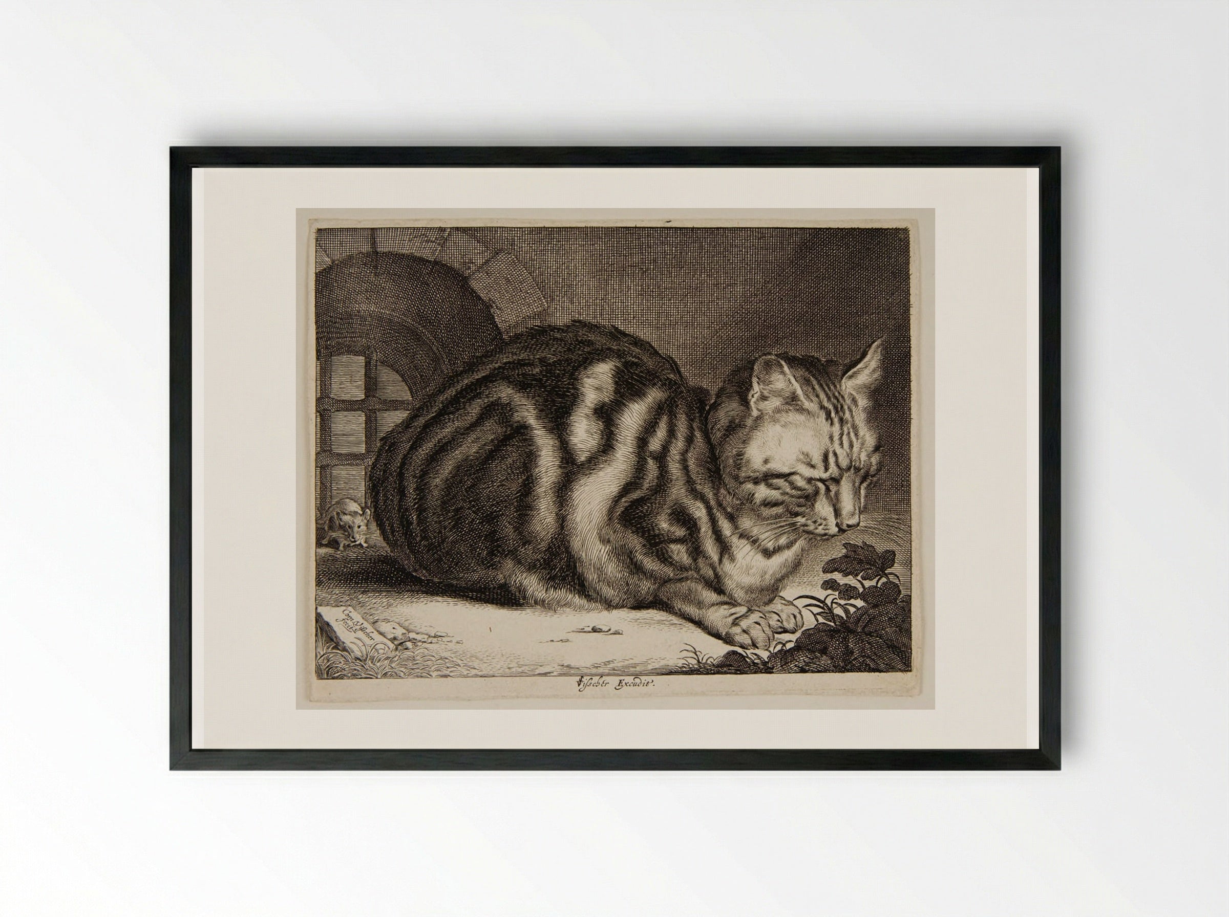 Cat Sleeping - Cornelis Visscher - Framed Print Black