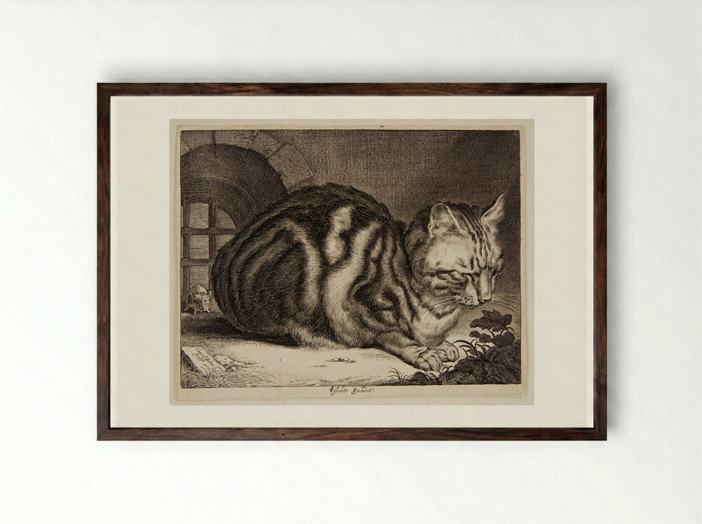 Cat Sleeping - Cornelis Visscher - Framed Print Dark Wood