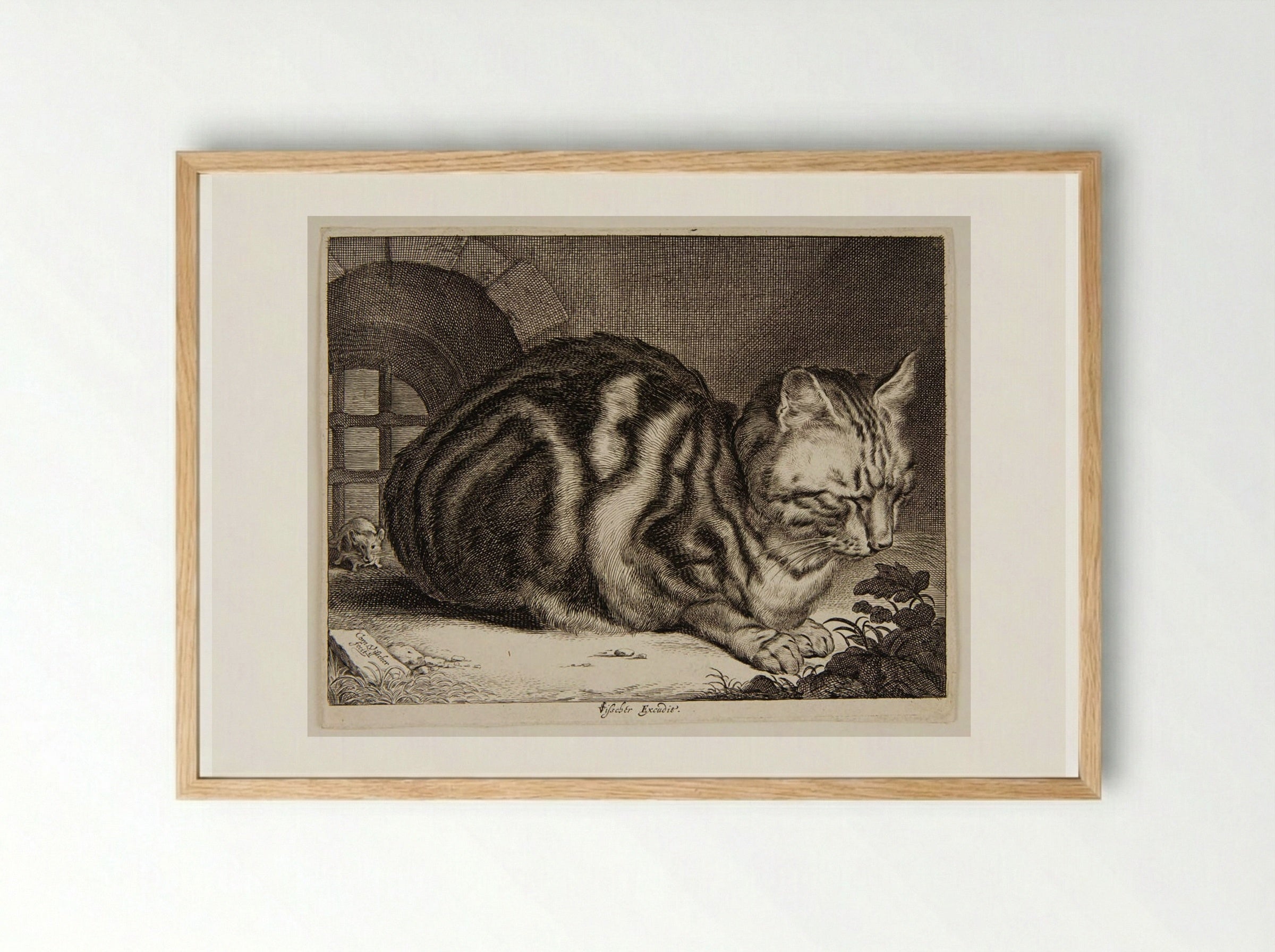 Cat Sleeping - Cornelis Visscher - Framed Print Wood
