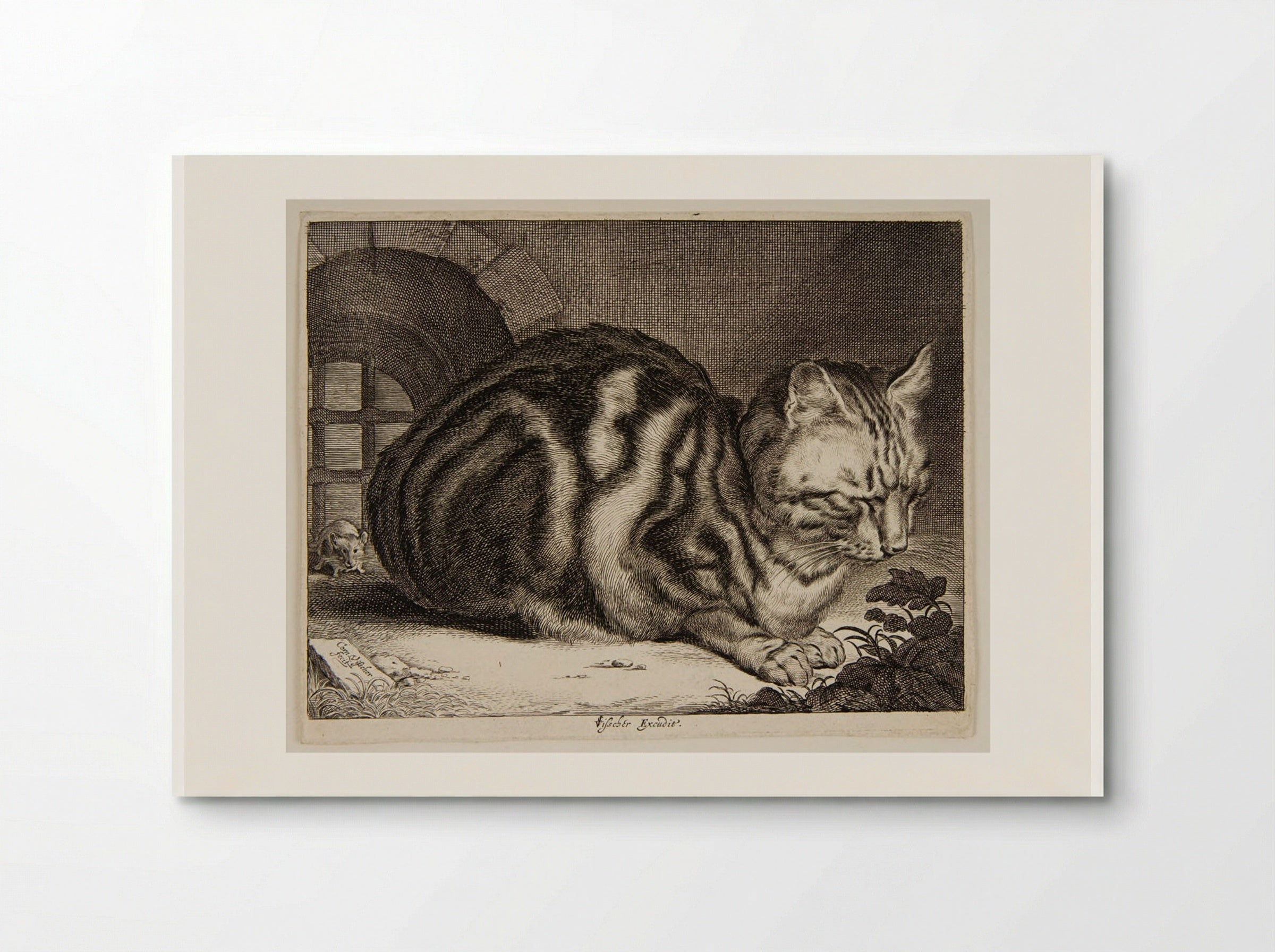 Cat Sleeping - Cornelis Visscher - Poster