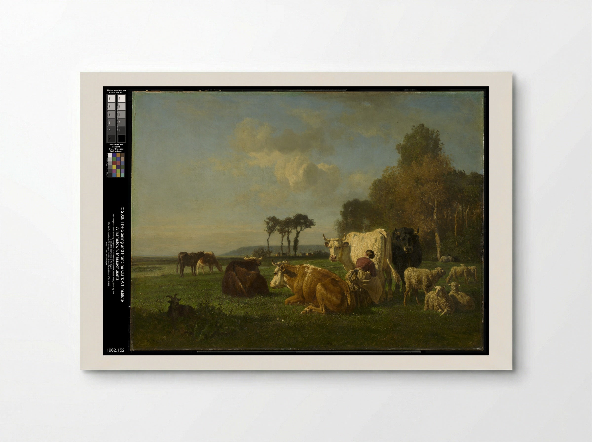 Cattle and Sheep in a Pasture - Constant Troyon - Poster