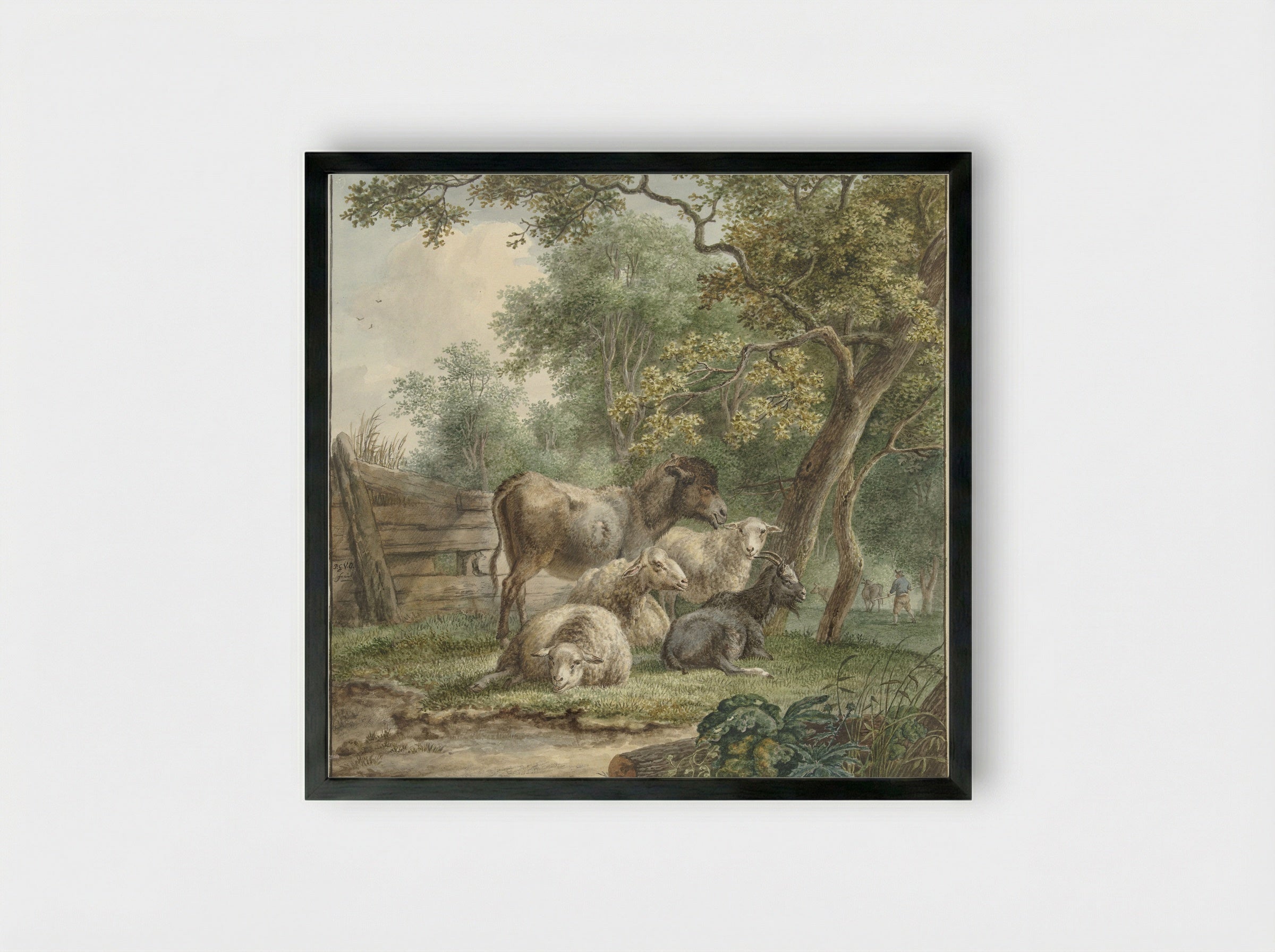 Cattle in an Orchard - Pieter Gerardus van Os - Framed Print Black