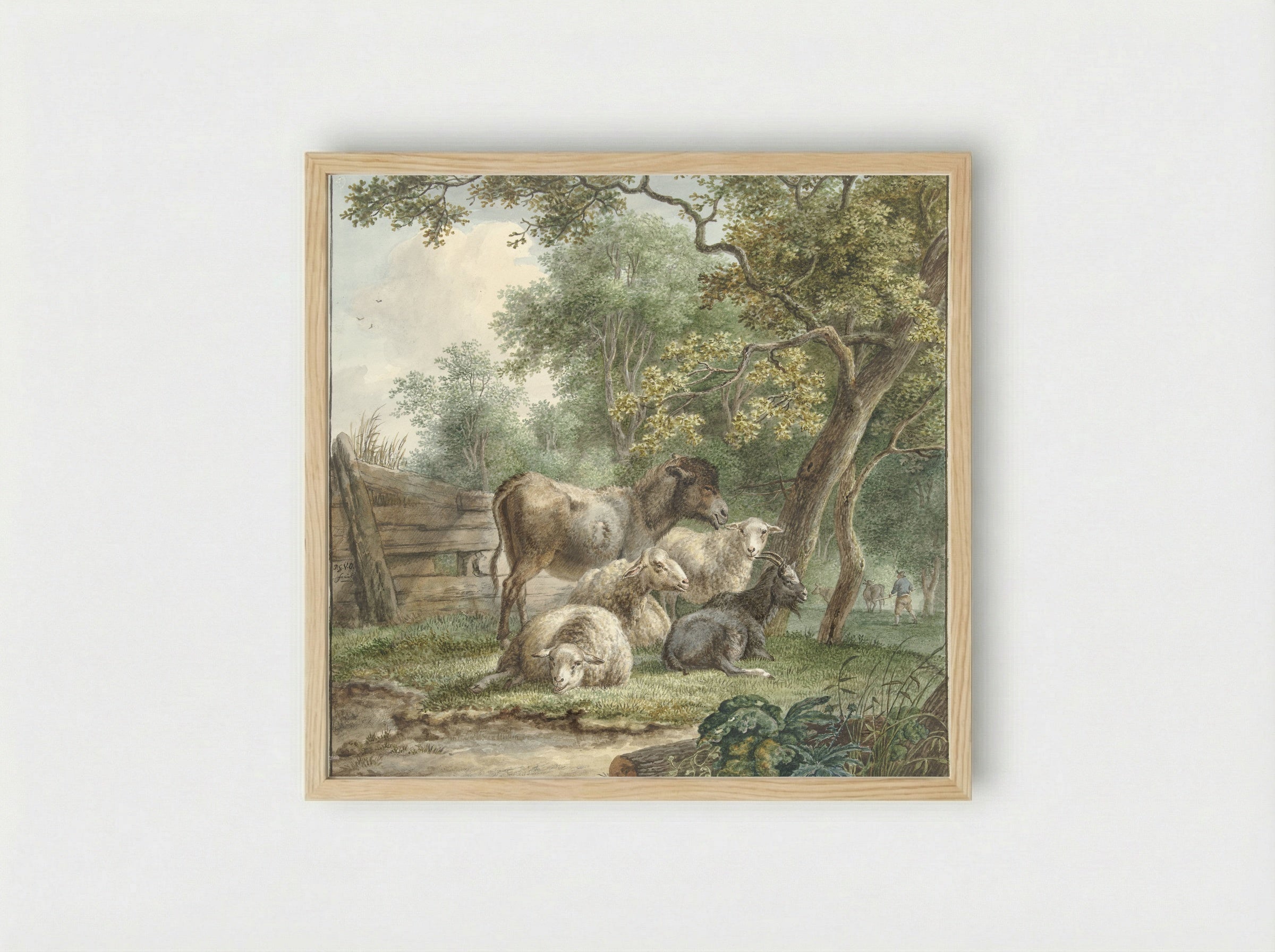 Cattle in an Orchard - Pieter Gerardus van Os - Framed Print Wood