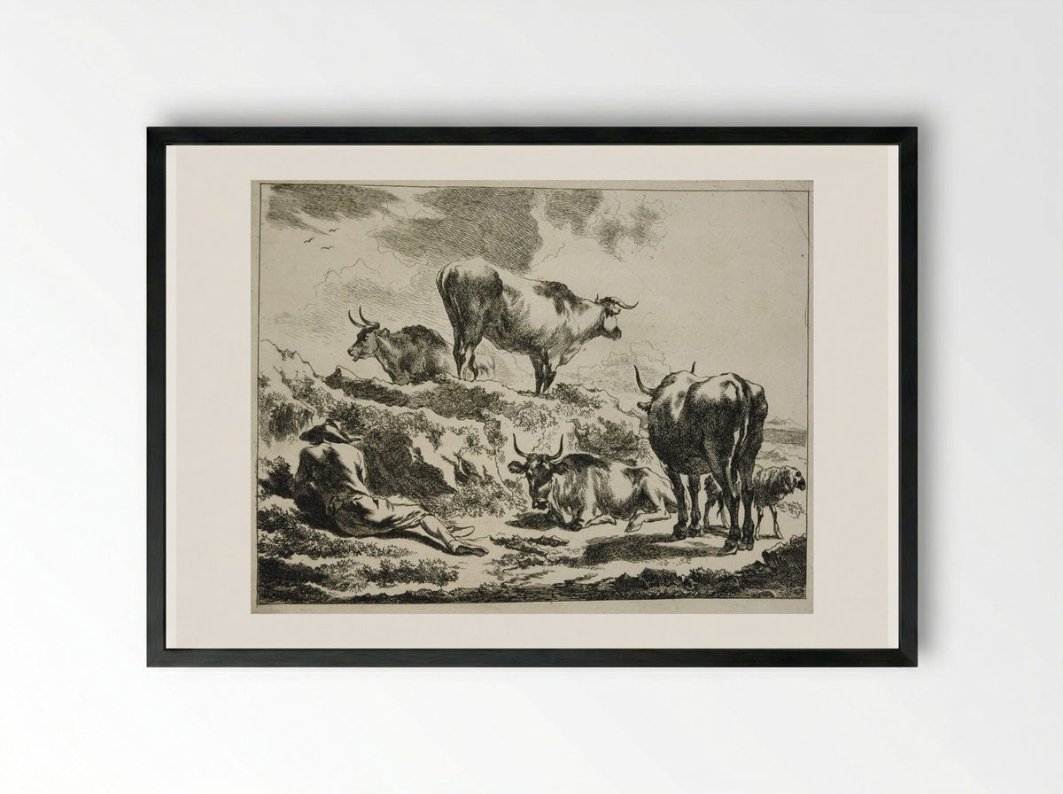 Cattle on a Hillock and Resting Cowherd - Johannes Visscher - Framed Print Black