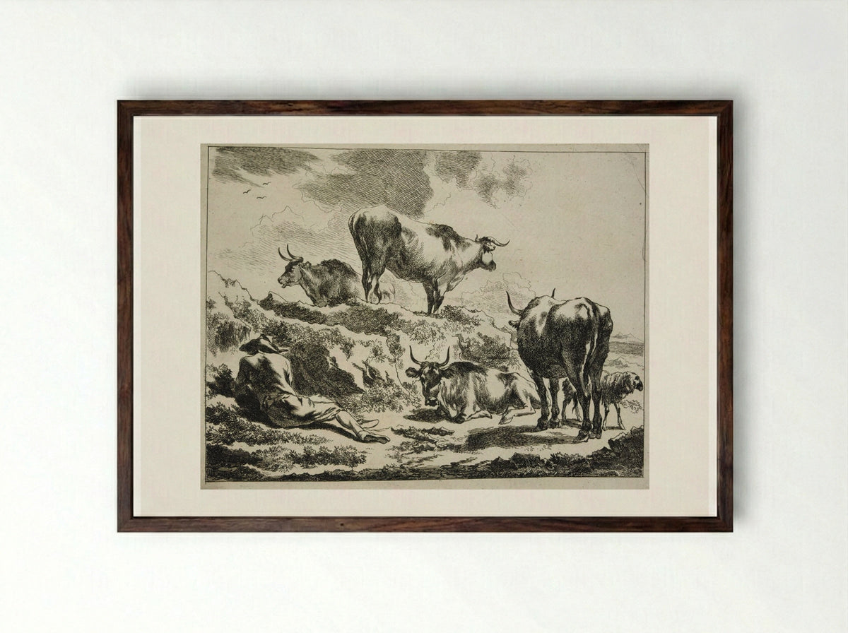 Cattle on a Hillock and Resting Cowherd - Johannes Visscher - Framed Print Dark Wood