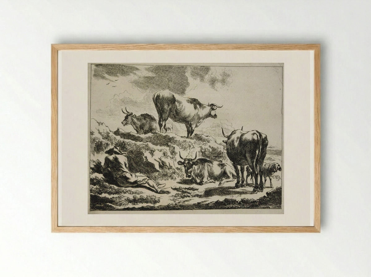 Cattle on a Hillock and Resting Cowherd - Johannes Visscher - Framed Print Wood