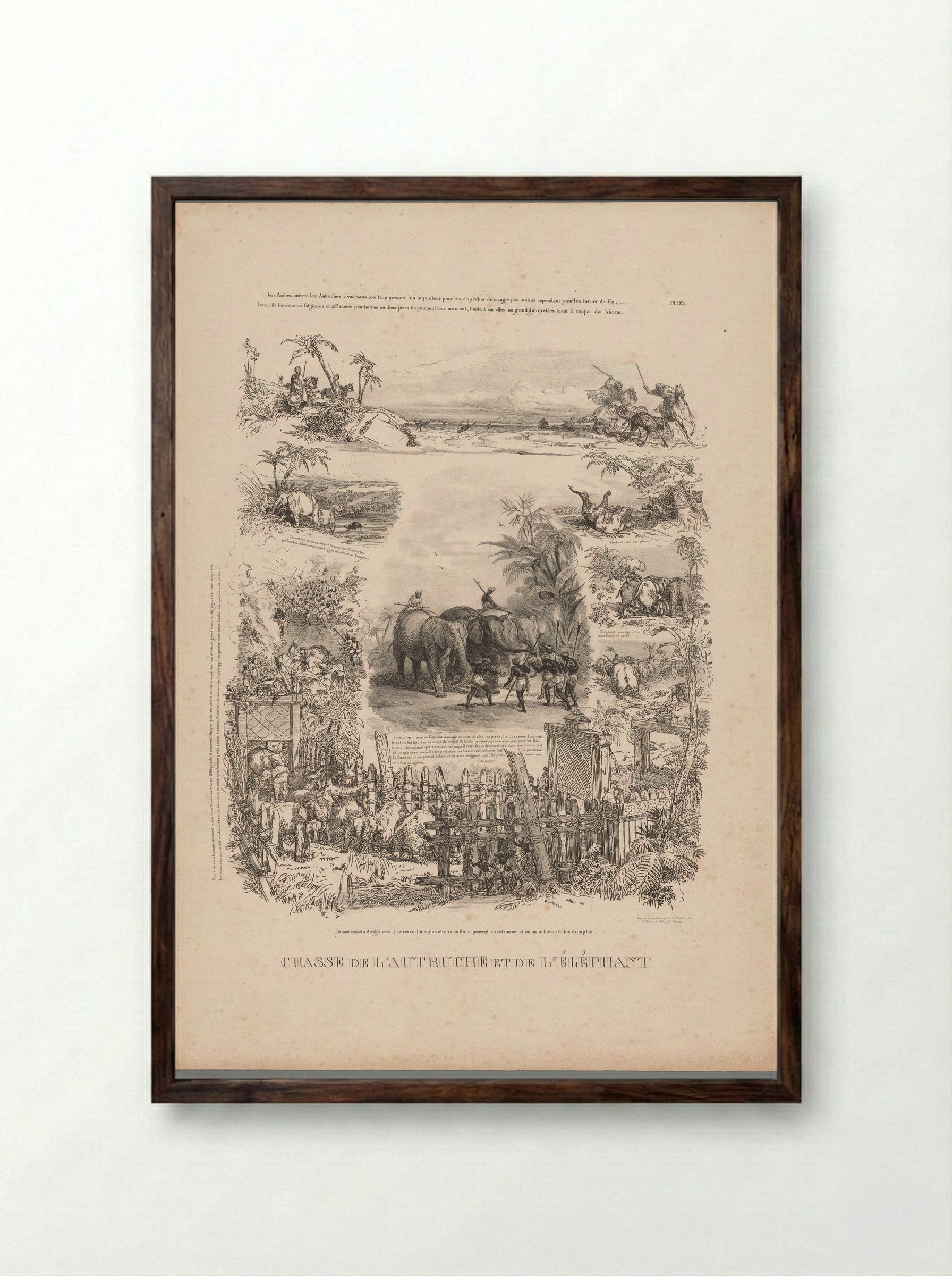 Chasse de l'autruche et de l'éléphant - Charles Aubry - Framed Print Dark Wood