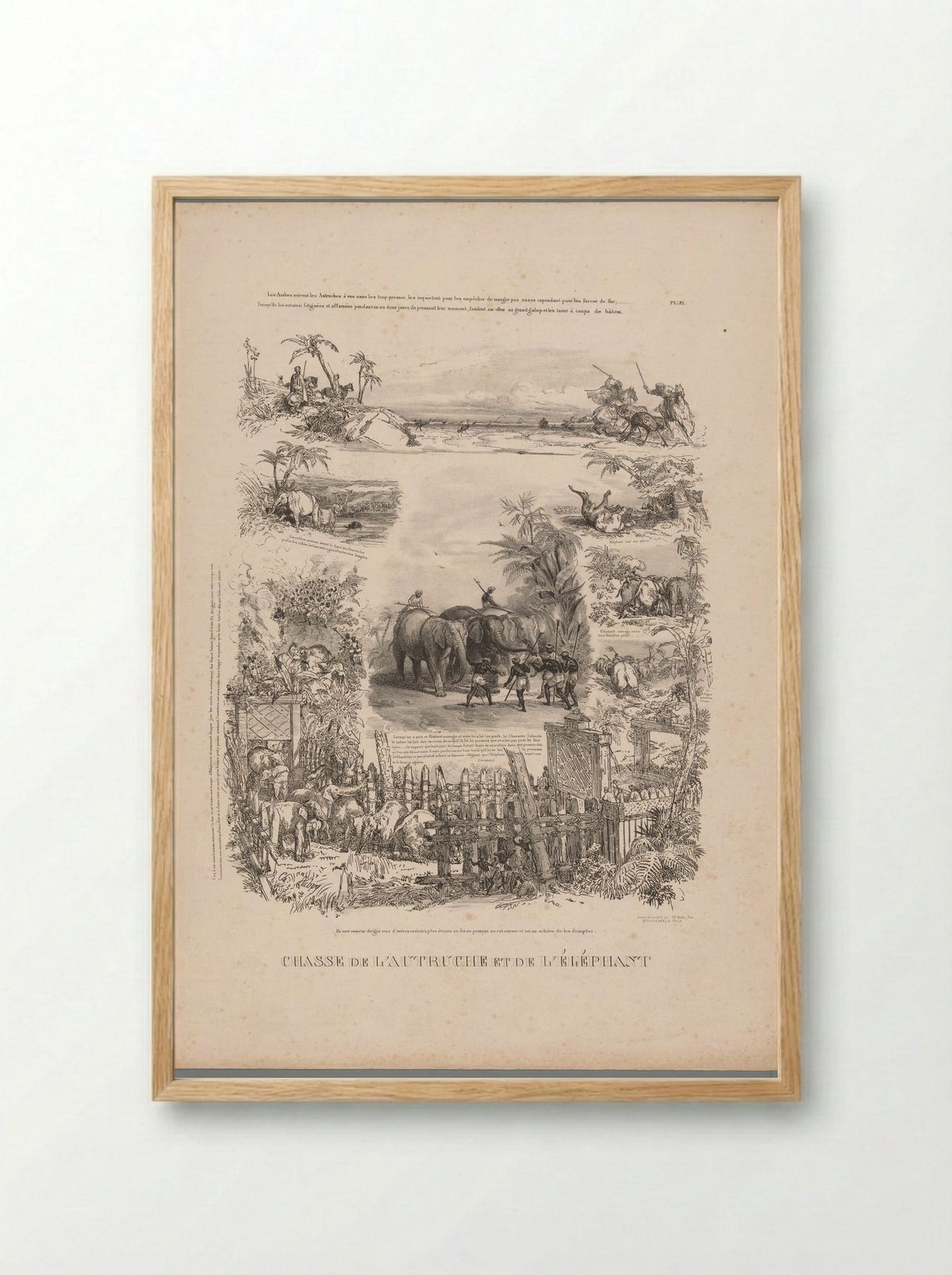 Chasse de l'autruche et de l'éléphant - Charles Aubry - Framed Print Wood