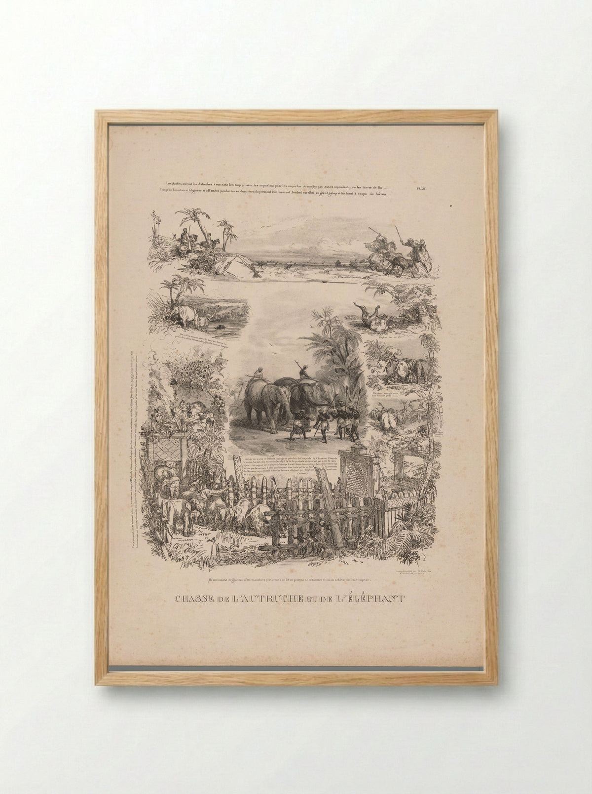 Chasse de l'autruche et de l'éléphant - Charles Aubry - Framed Print Wood