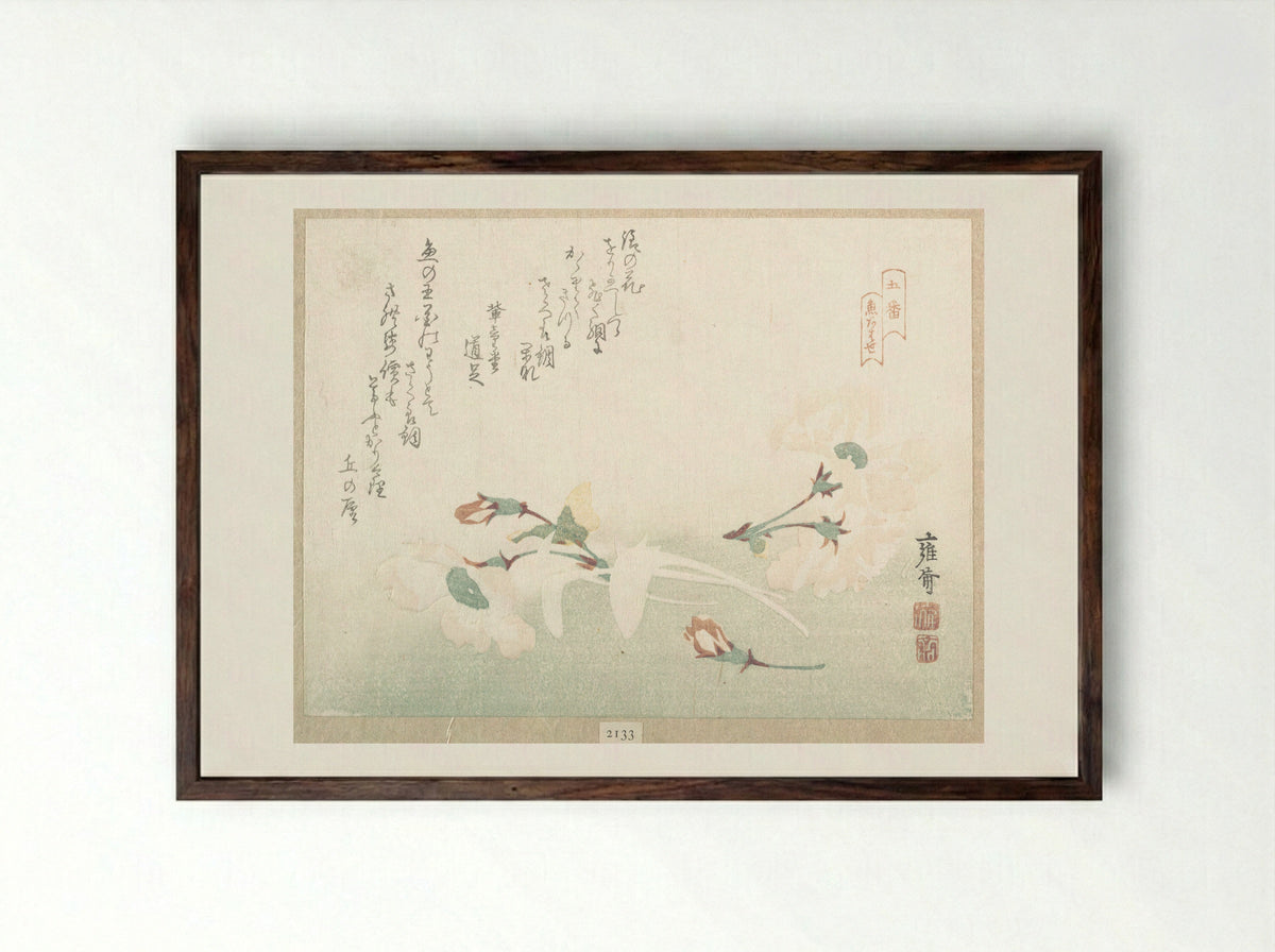 Cherry Flowers - Kikuchi Yōsai - Framed Print Dark Wood