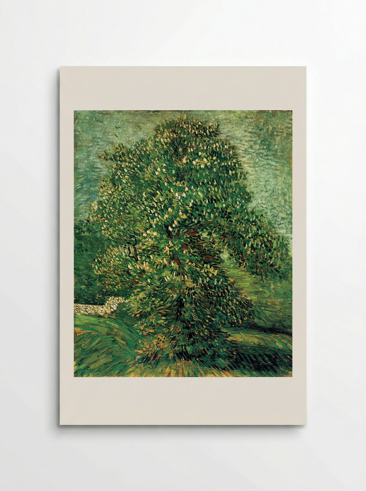 Chestnut Tree in Blossom - Vincent van Gogh - Poster