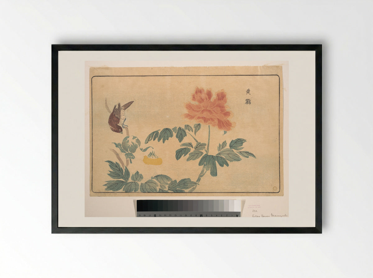 Chinese Oriole and Peonies - Kuwagata Keisai - Framed Print Black