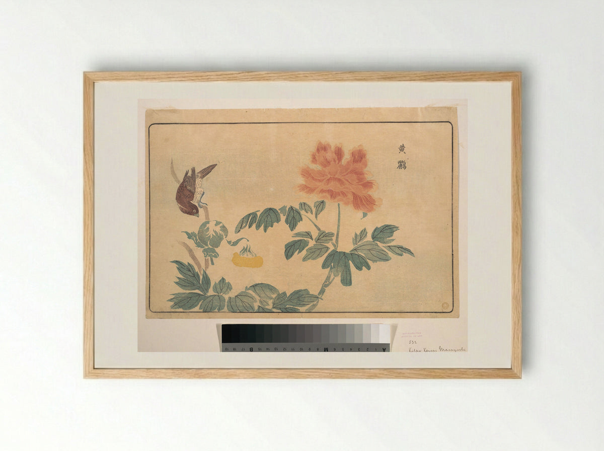 Chinese Oriole and Peonies - Kuwagata Keisai - Framed Print Wood
