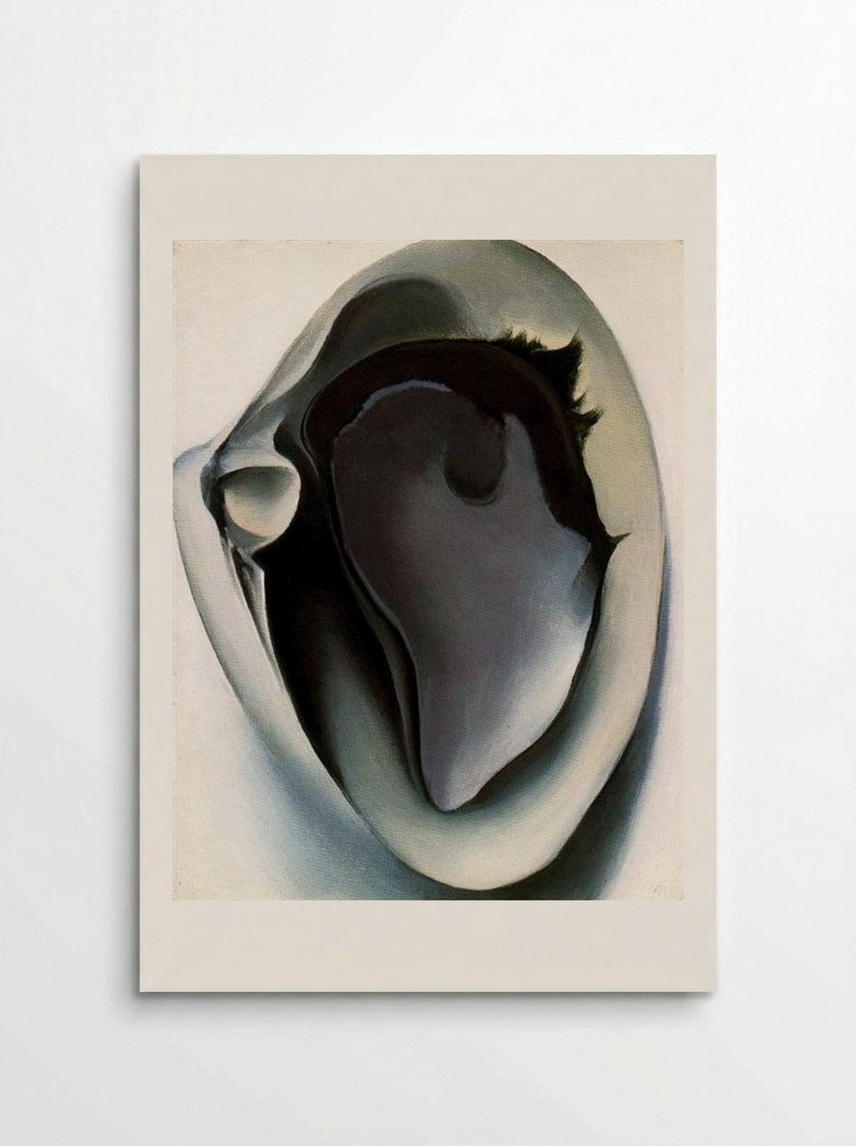 Clam and Mussel - Georgia O'Keeffe - Poster