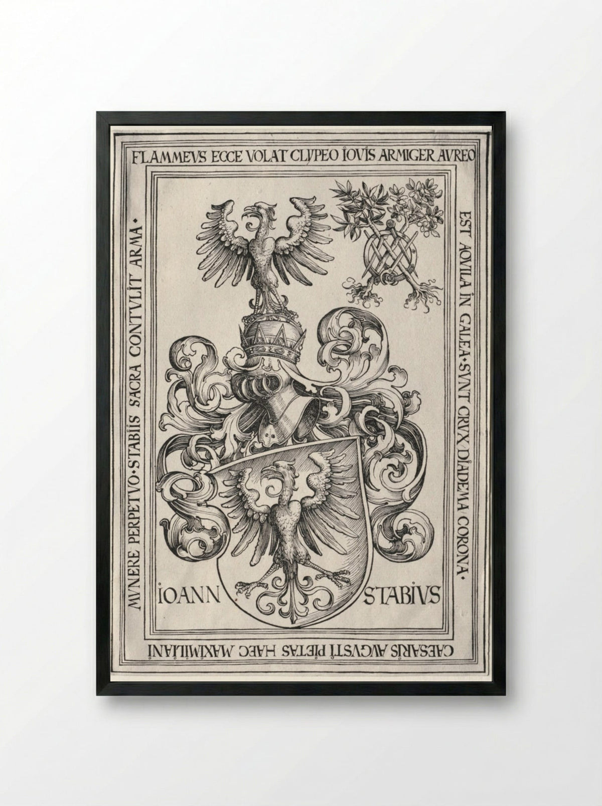Coat of Arms of Johann Stabius - Wolf Traut - Framed Print Black