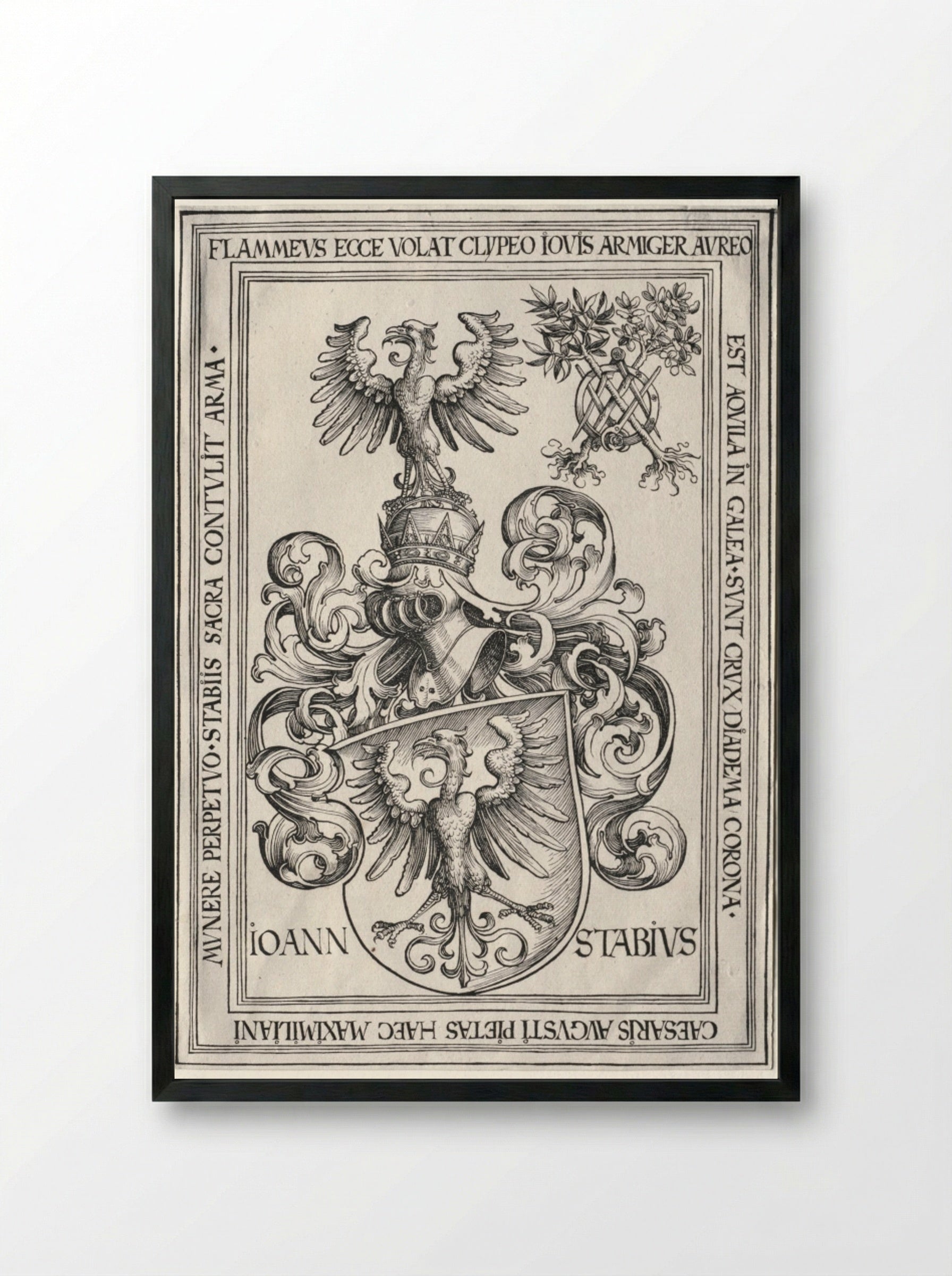 Coat of Arms of Johann Stabius - Wolf Traut - Framed Print Black