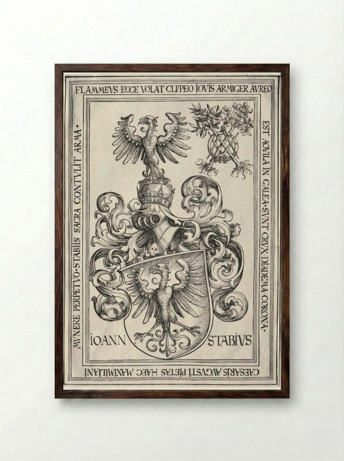 Coat of Arms of Johann Stabius - Wolf Traut - Framed Print Dark Wood