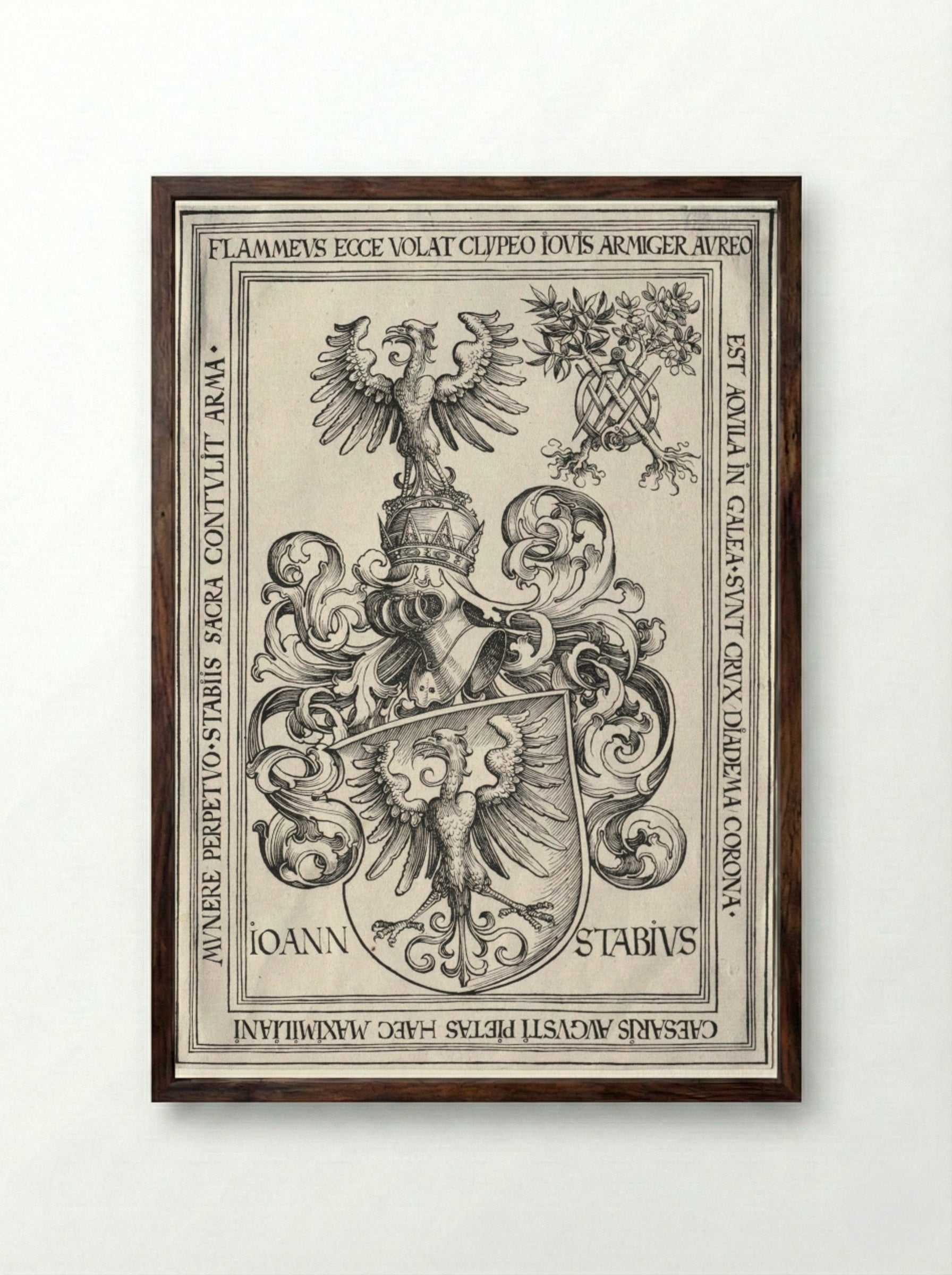 Coat of Arms of Johann Stabius - Wolf Traut - Framed Print Dark Wood