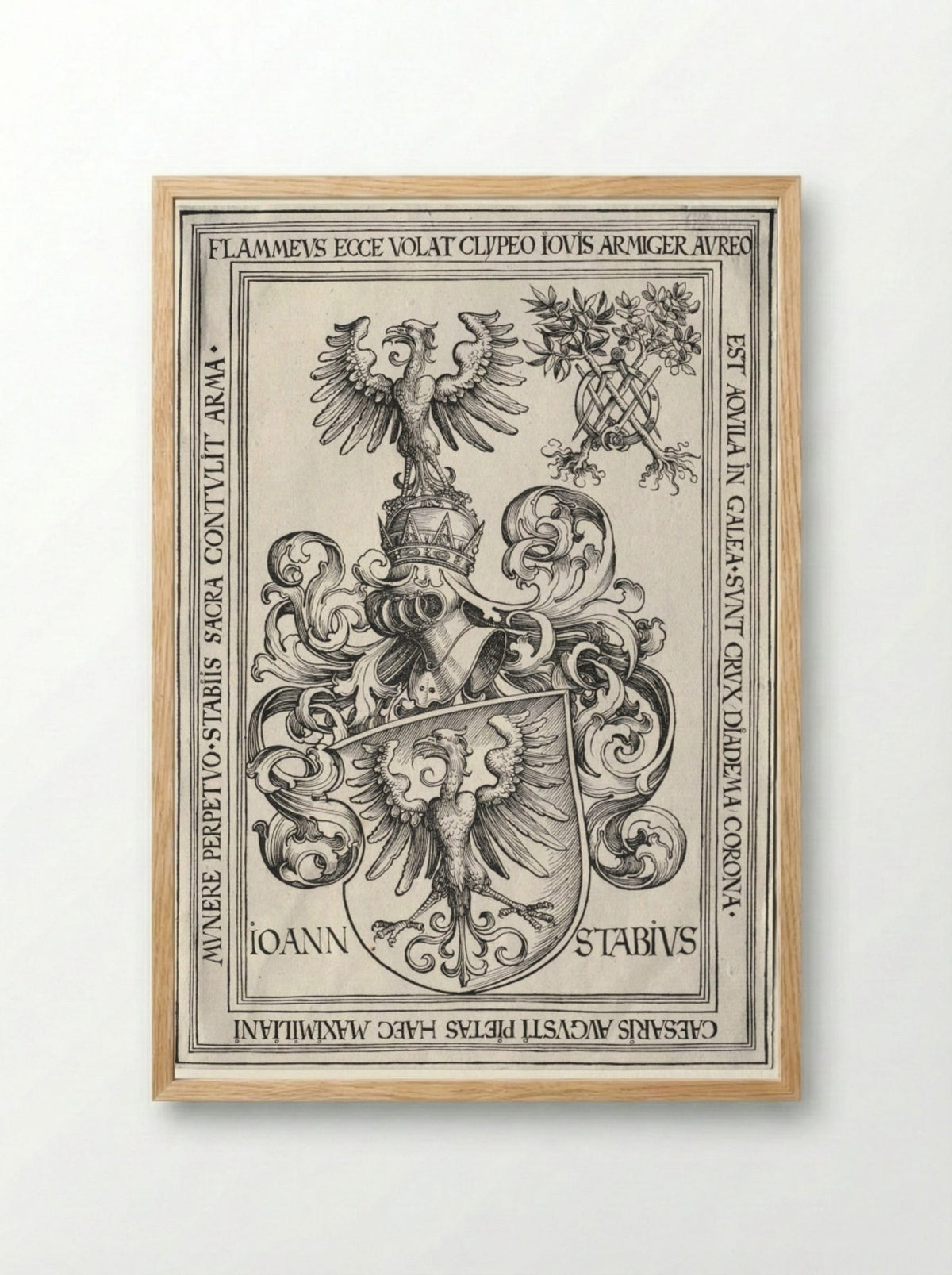 Coat of Arms of Johann Stabius - Wolf Traut - Framed Print Wood