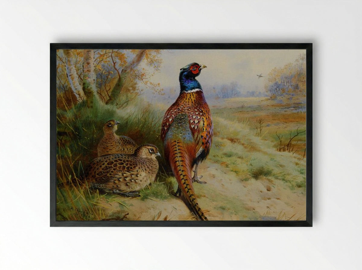 Cock and Hen Pheasant at the Edge of a Wood - Archibald Thorburn - Framed Print Black
