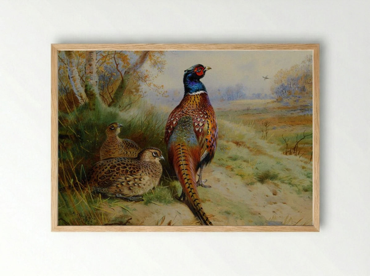 Cock and Hen Pheasant at the Edge of a Wood - Archibald Thorburn - Framed Print Wood