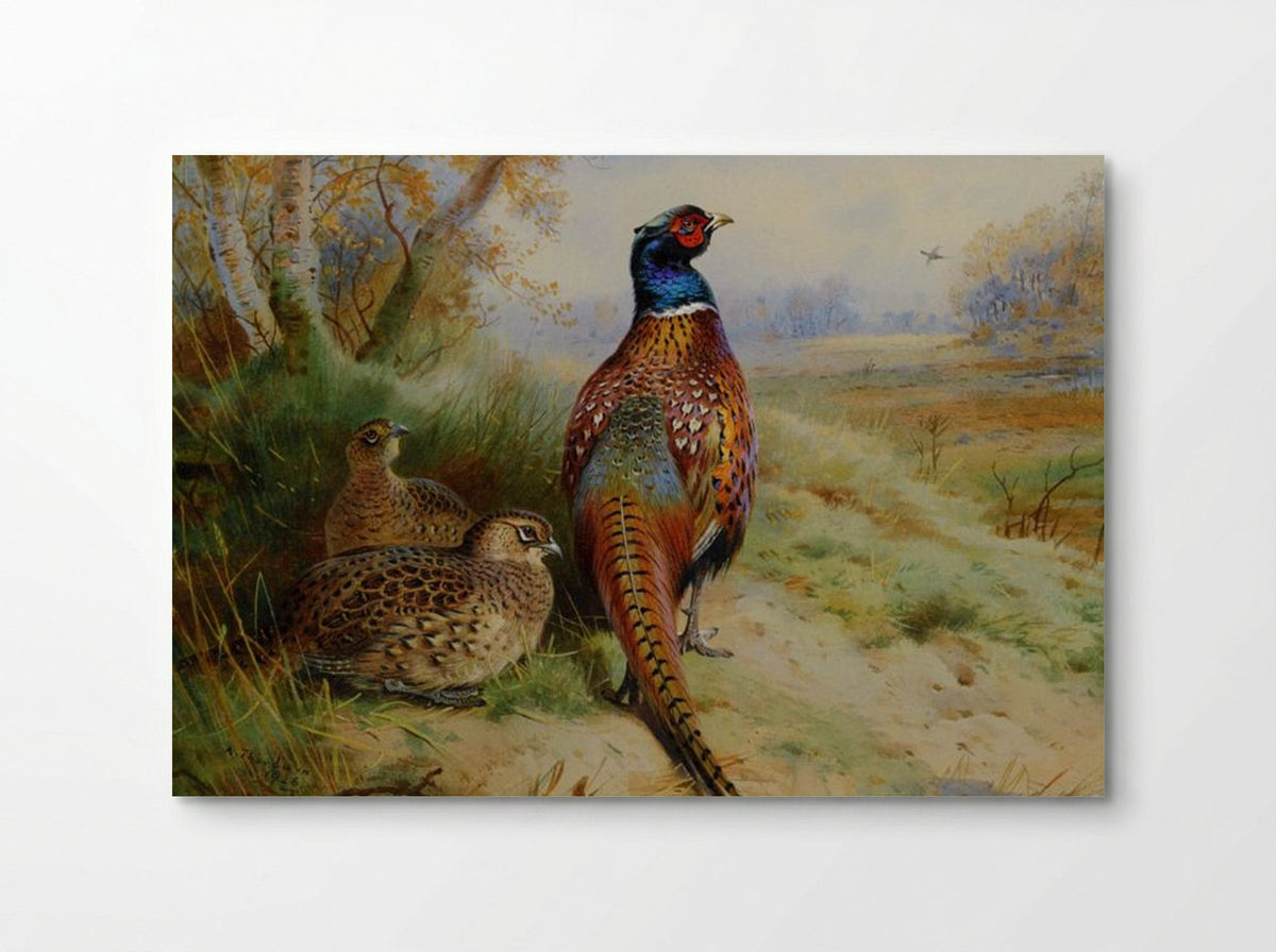 Cock and Hen Pheasant at the Edge of a Wood - Archibald Thorburn - Poster