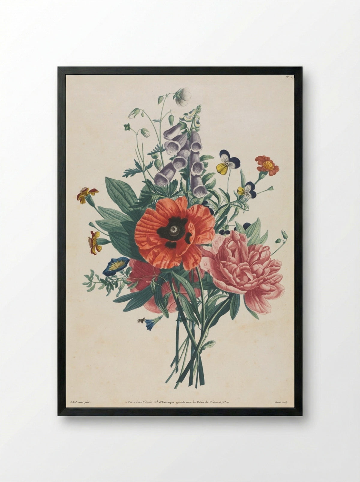 Collection of Flowers and Fruits - Louis Charles Ruotte - Framed Print Black