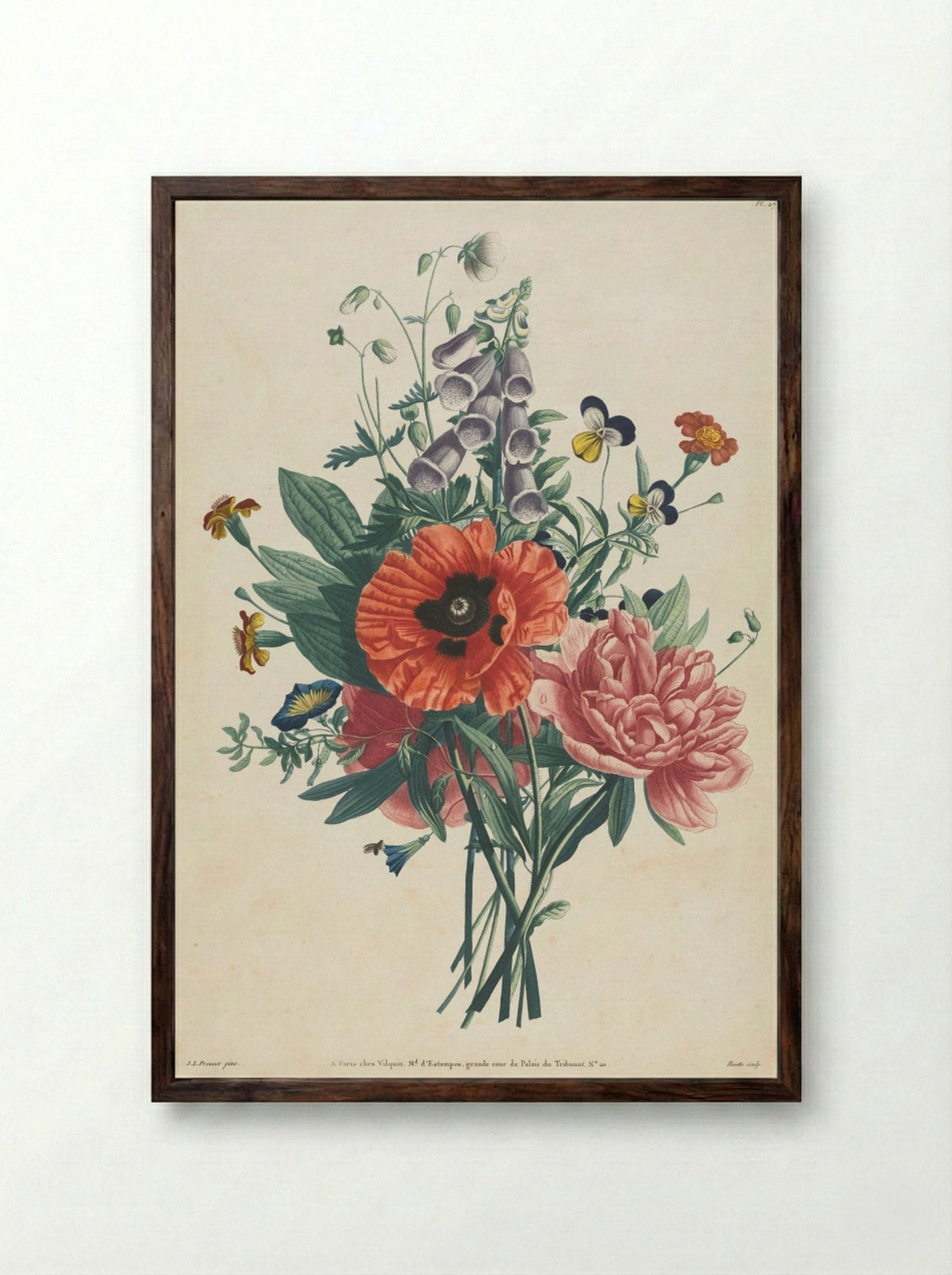 Collection of Flowers and Fruits - Louis Charles Ruotte - Framed Print Dark Wood