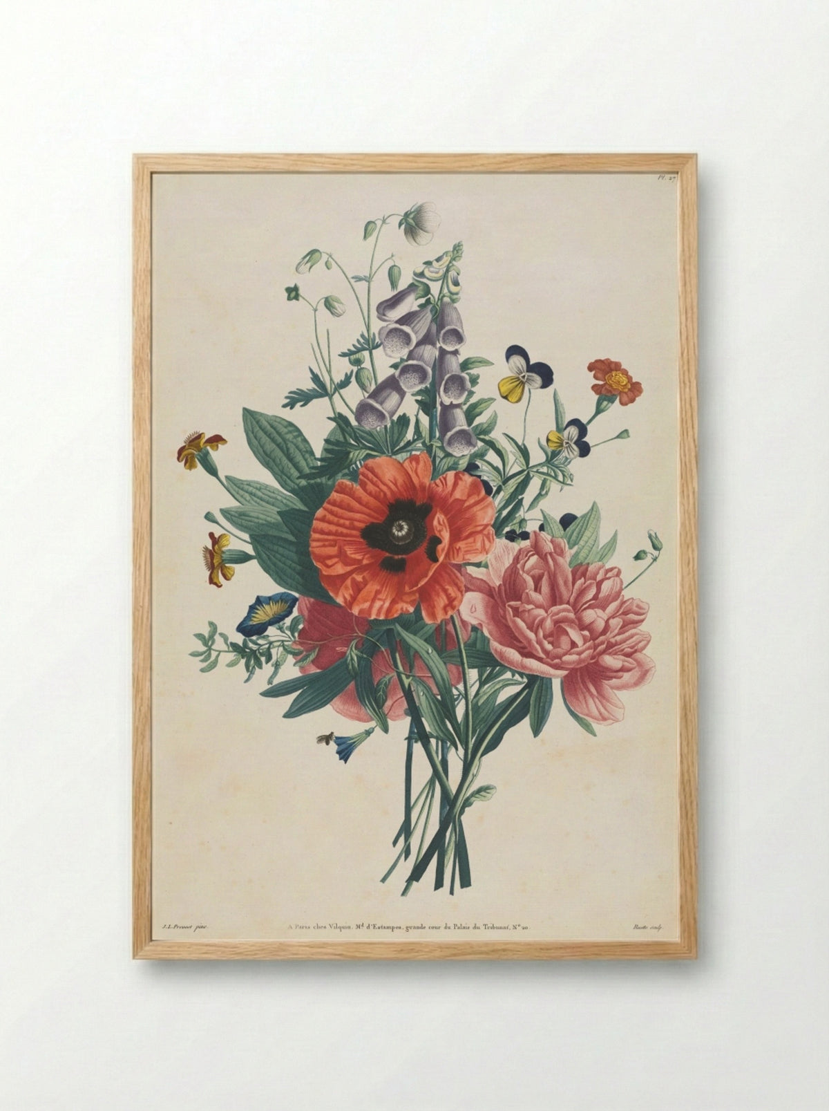 Collection of Flowers and Fruits - Louis Charles Ruotte - Framed Print Wood