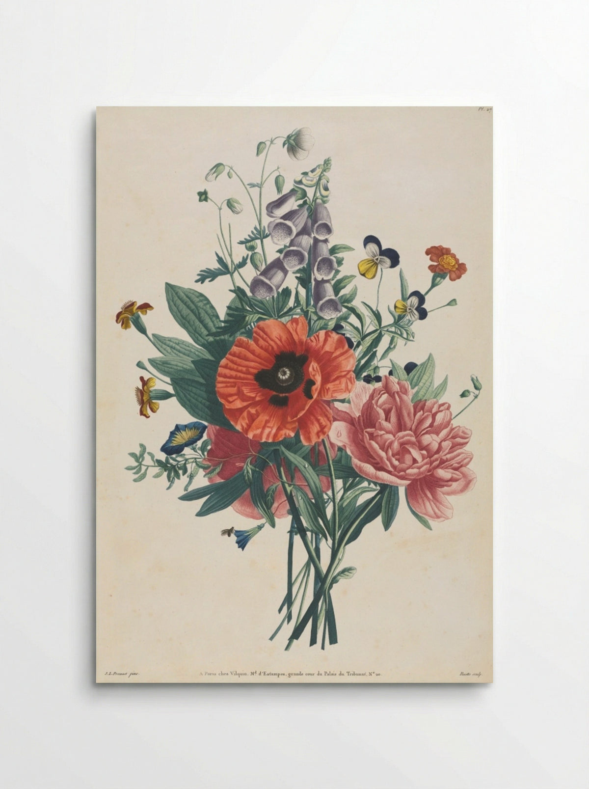 Collection of Flowers and Fruits - Louis Charles Ruotte - Poster