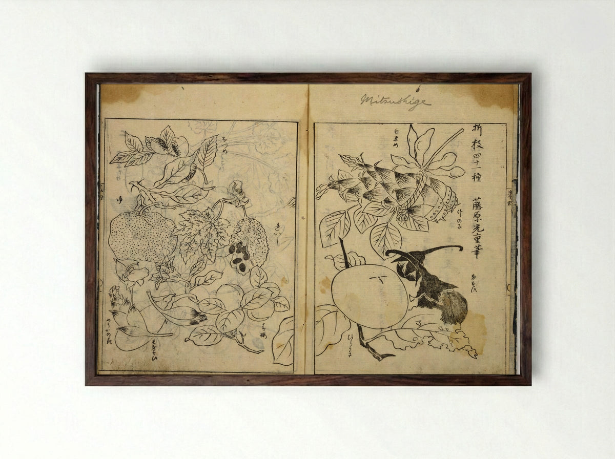 Collection of Pictures (Botanical Studies) - Tosa School - Framed Print Dark Wood