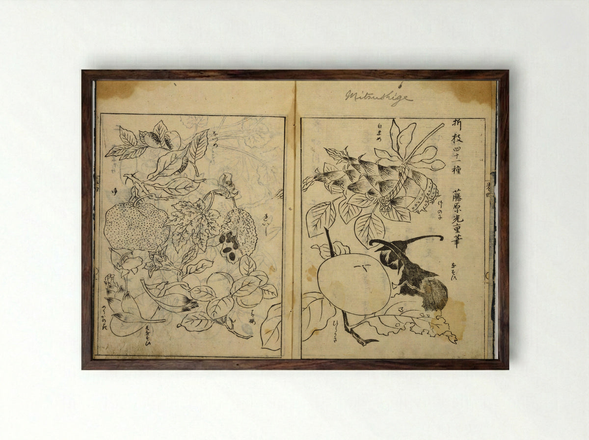 Collection of Pictures (Botanical Studies) - Tosa School - Framed Print Dark Wood
