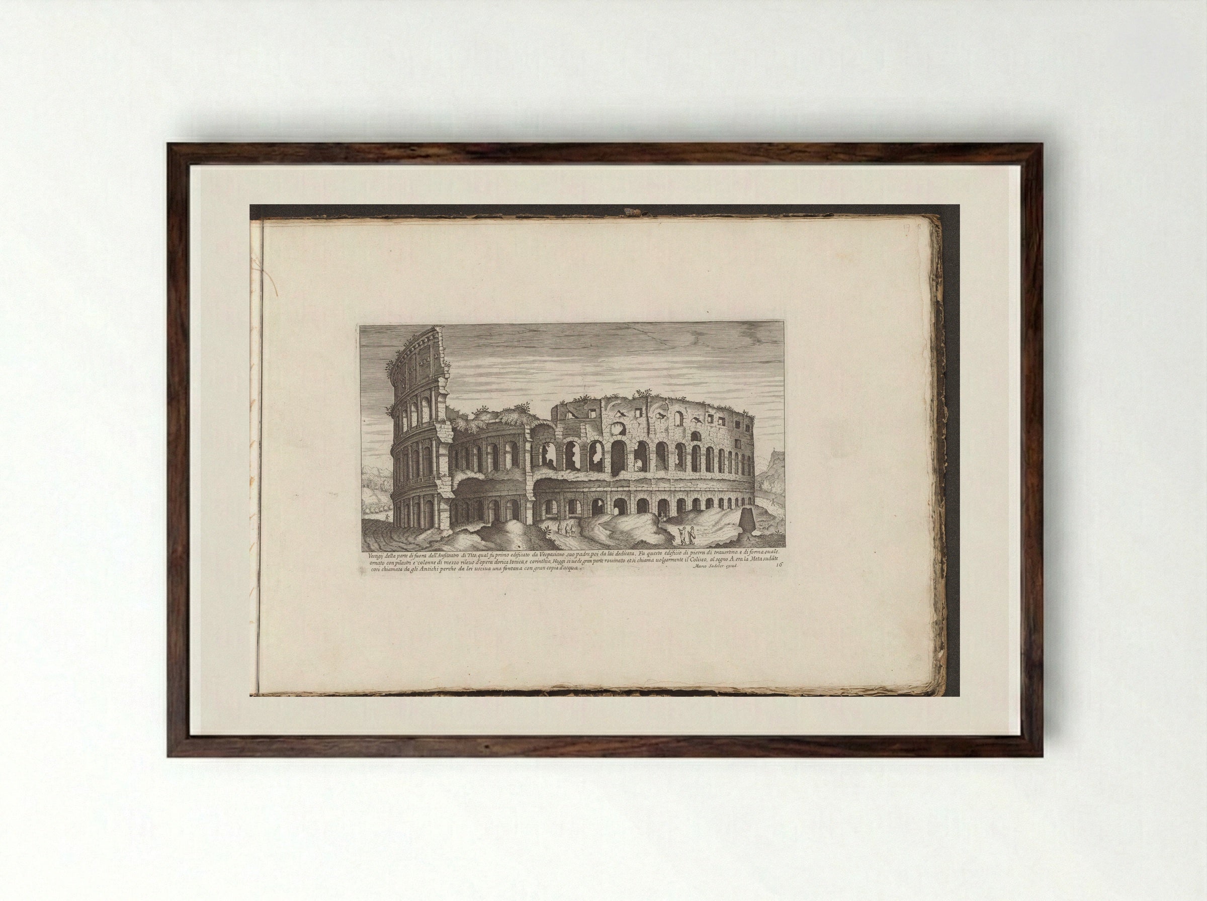 Colosseum - Giovanni Giacomo de' Rossi - Framed Print Dark Wood