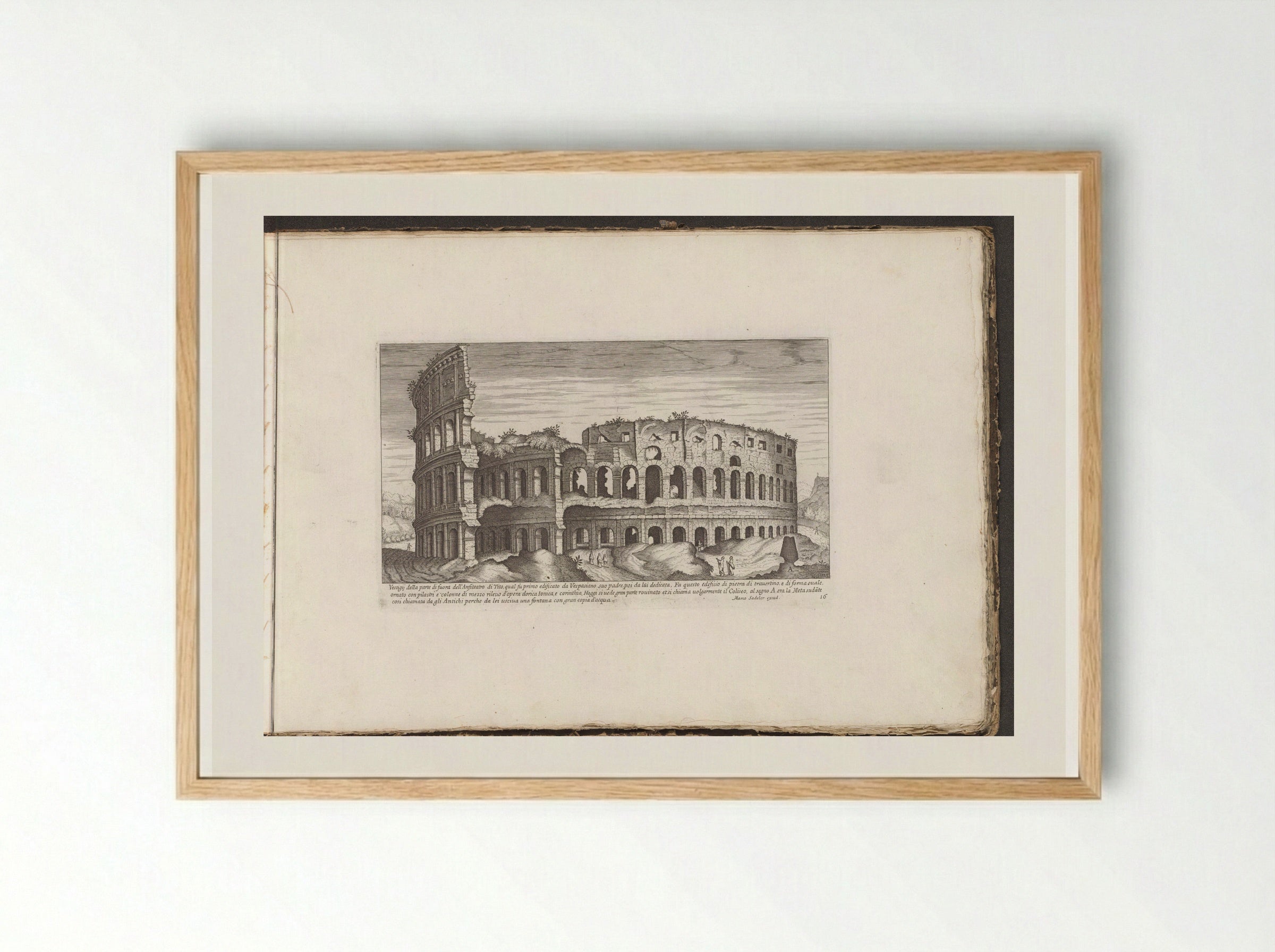 Colosseum - Giovanni Giacomo de' Rossi - Framed Print Wood