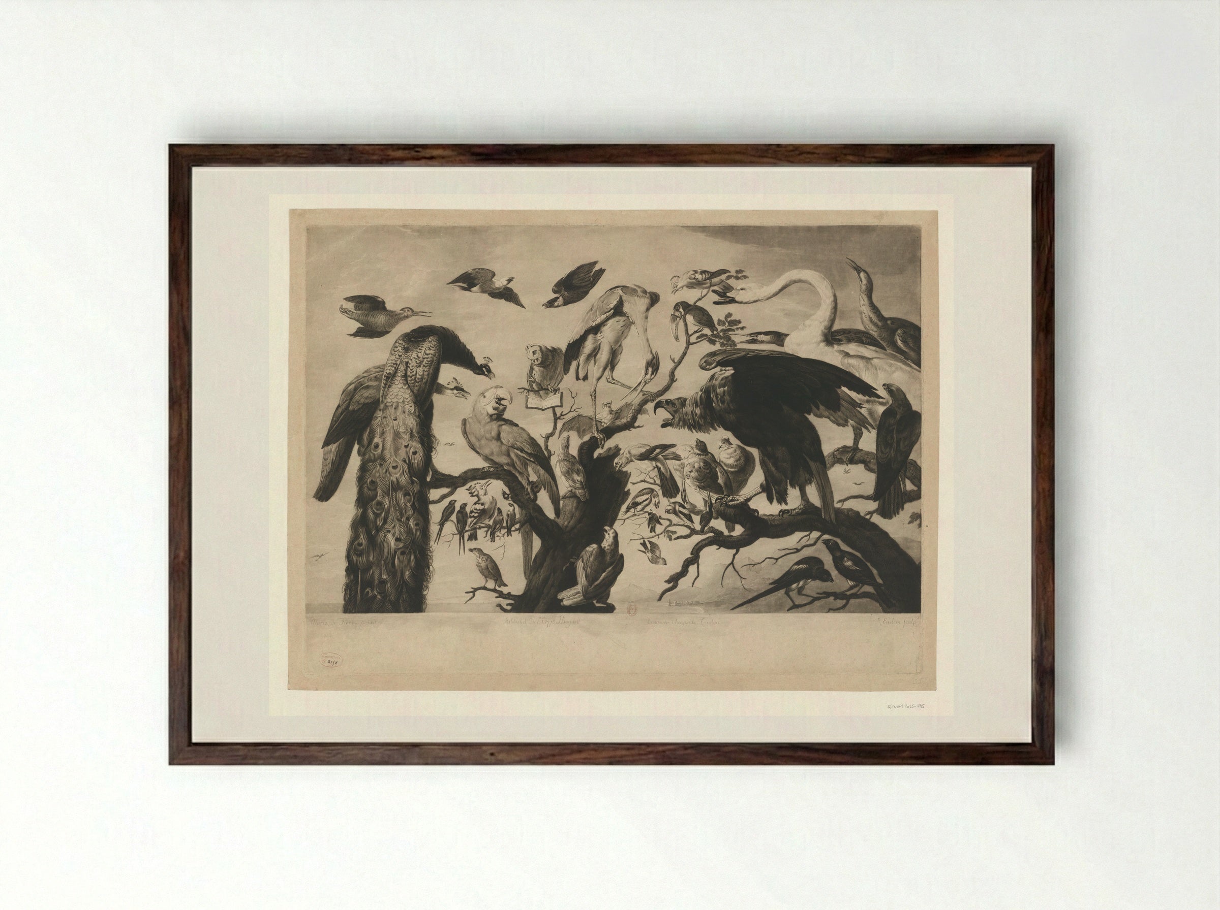 Concert of Birds - Richard Earlom - Framed Print Dark Wood