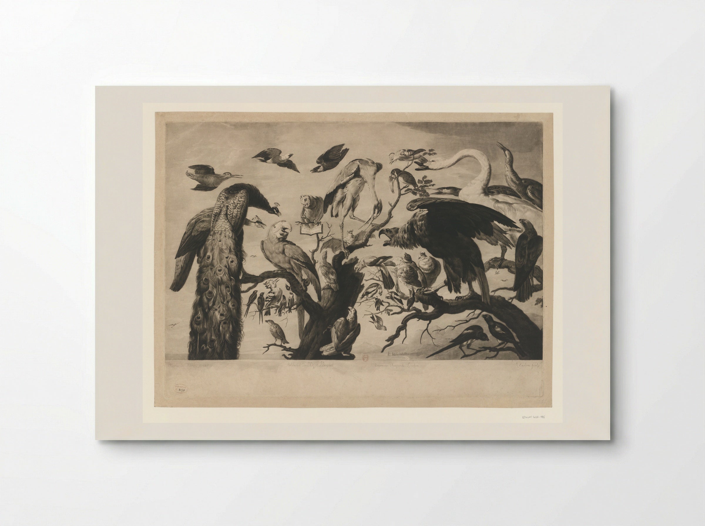 Concert of Birds - Richard Earlom - Poster