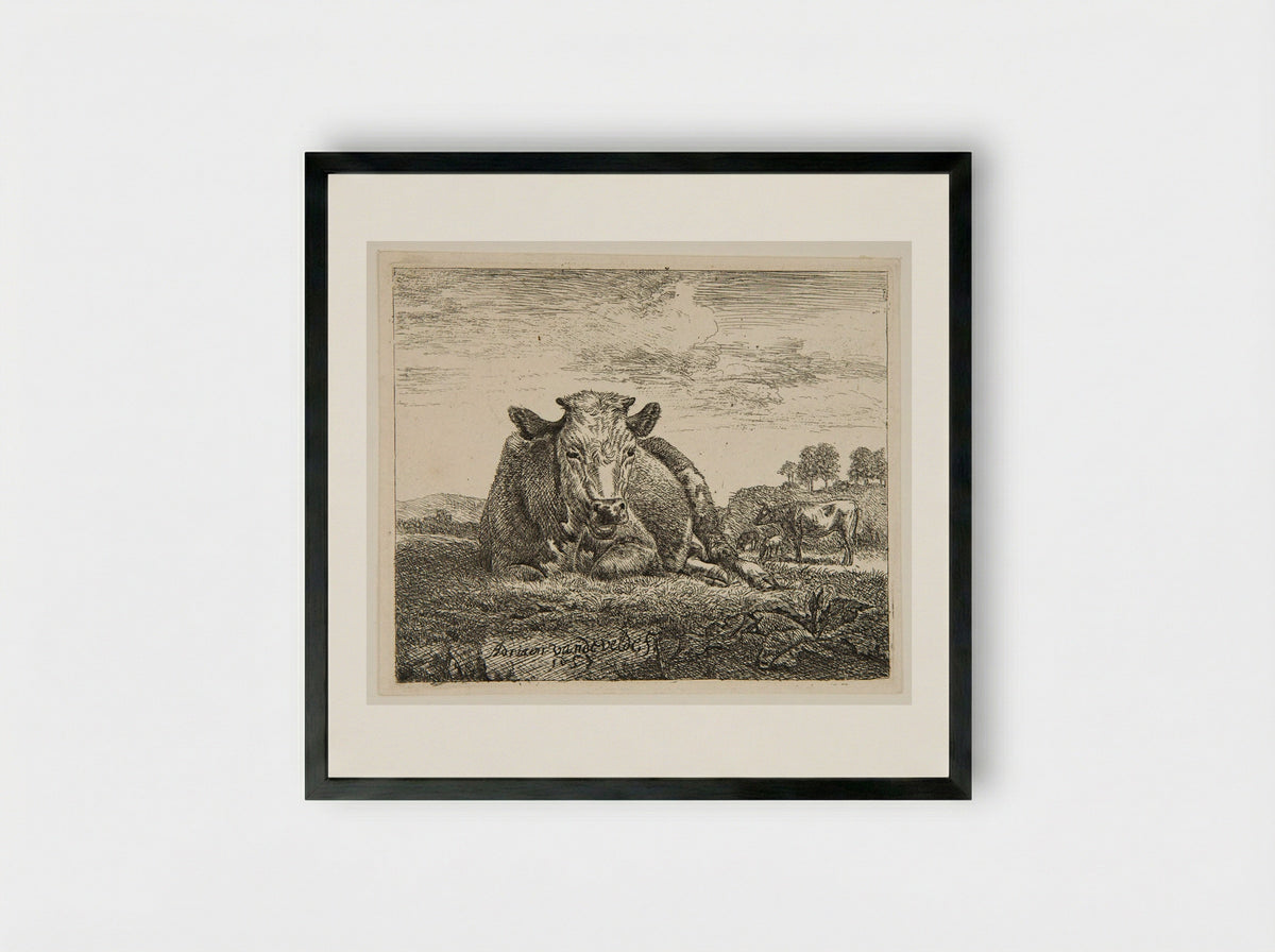 Cow Lying Down - Adriaen van de Velde - Framed Print Black