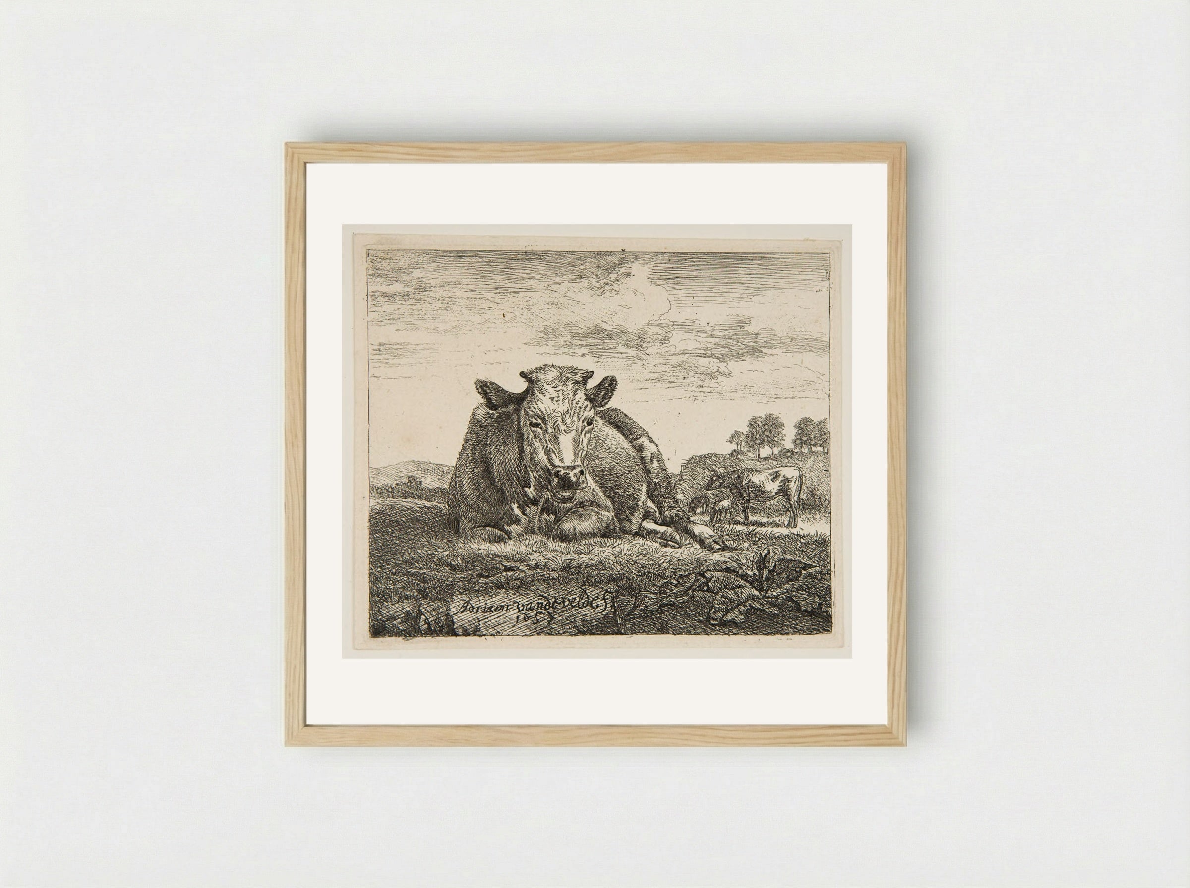 Cow Lying Down - Adriaen van de Velde - Framed Print Wood